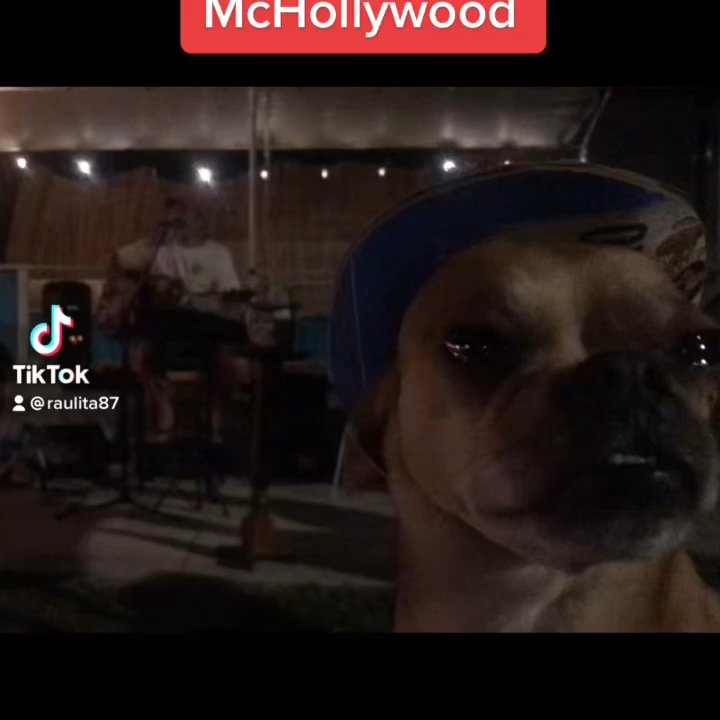 Lazy Gator - Raulito on TikTok at the Lazy Gator w Paul McHollywood - Cocktail Bars Near Me - Ruskin, Florida