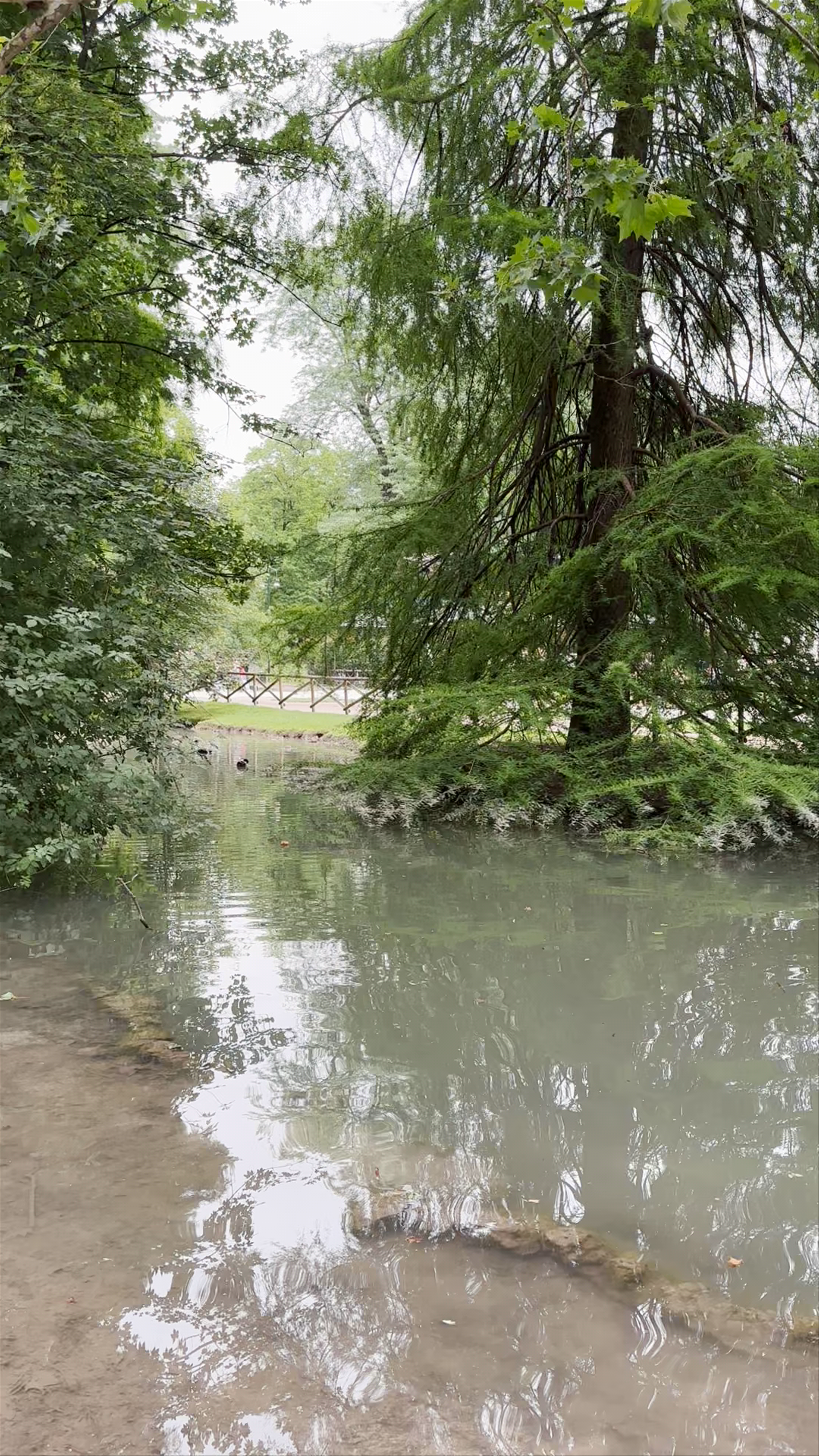 Bridge of the Little Mermaids