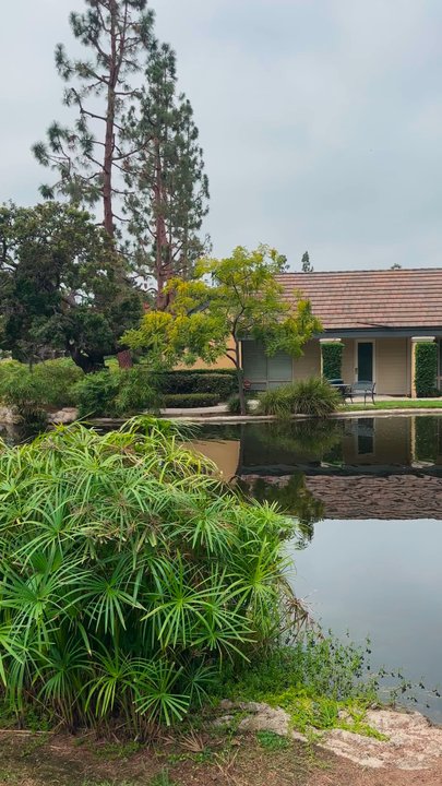 Radiance Chiropractic - Chiropractors Near Me - Santa Ana, California