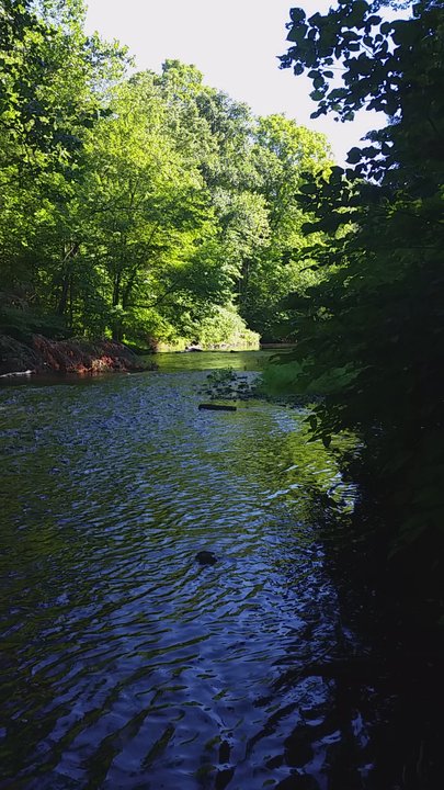 Scantic River State Park - Way way upstream - Parks Near Me - Hazardville, Connecticut