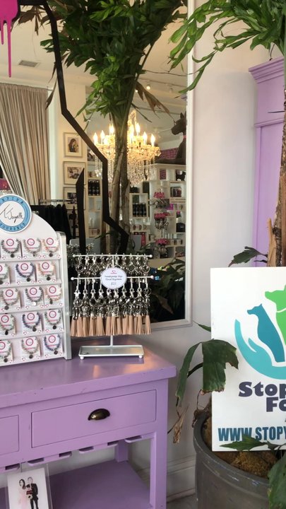 Vanderpump Dogs - Pet Adoption Near Me - Los Angeles, California