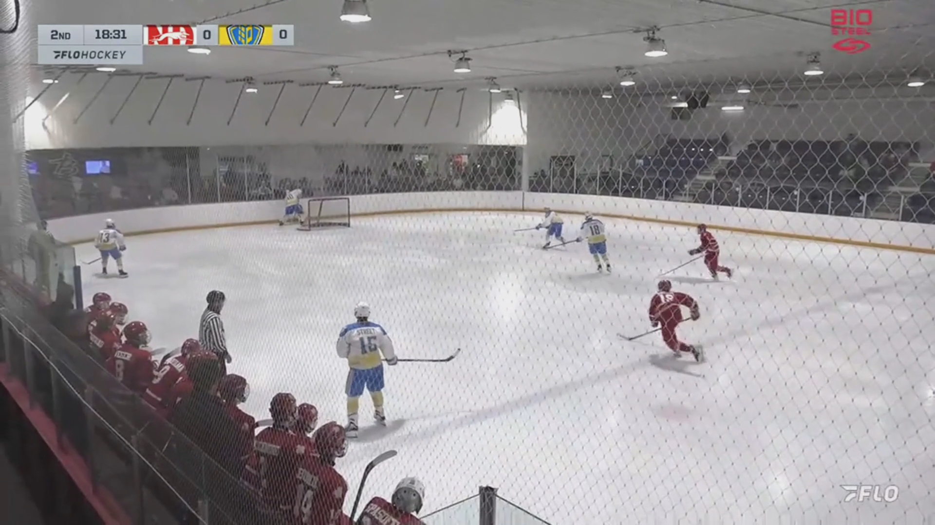 Alexander Krylov's Stunning Snipe for Notre Dame Hounds U17