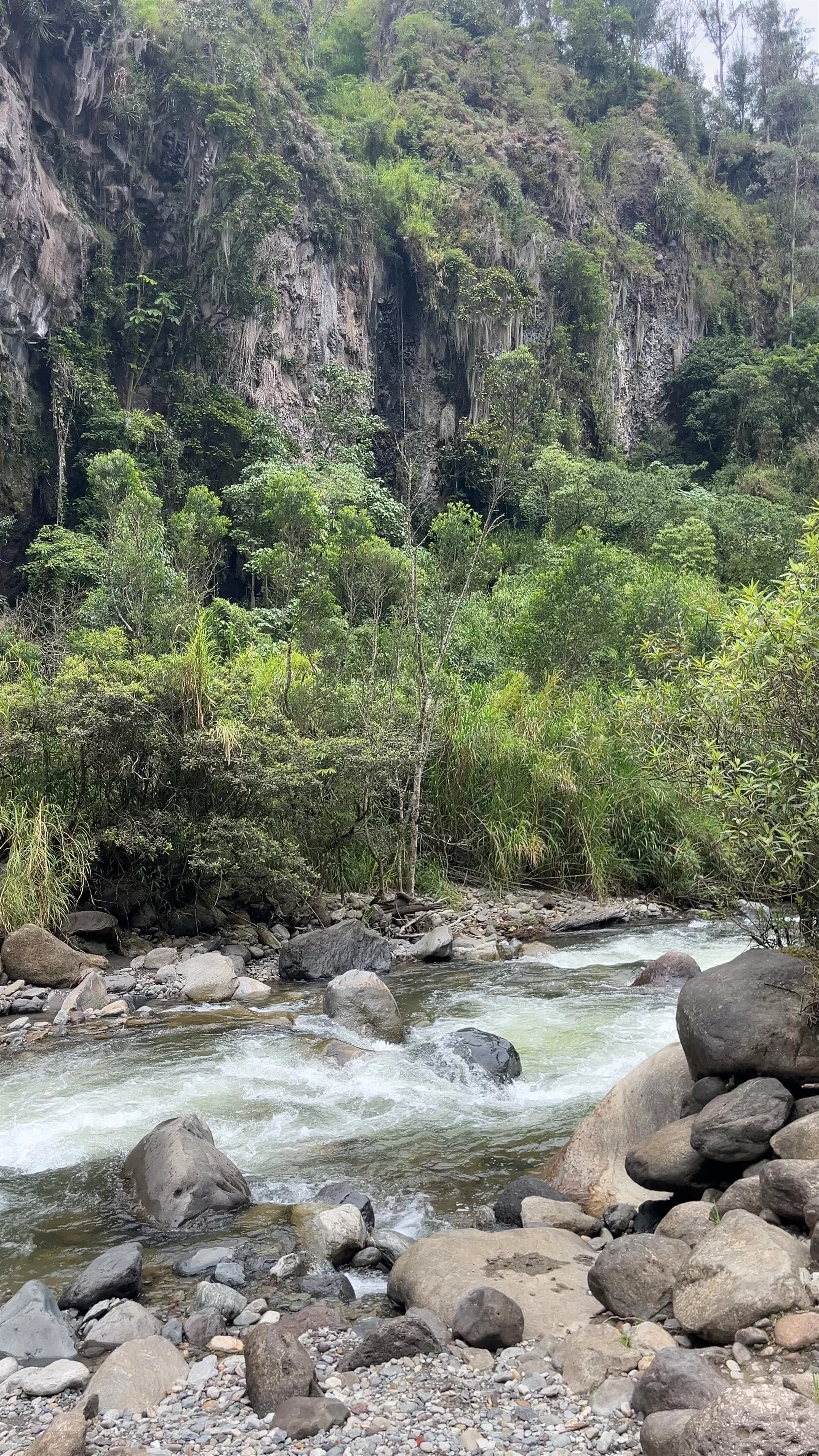 Las Cascadas de Chamana y Ulbilla, Avenida Chamana