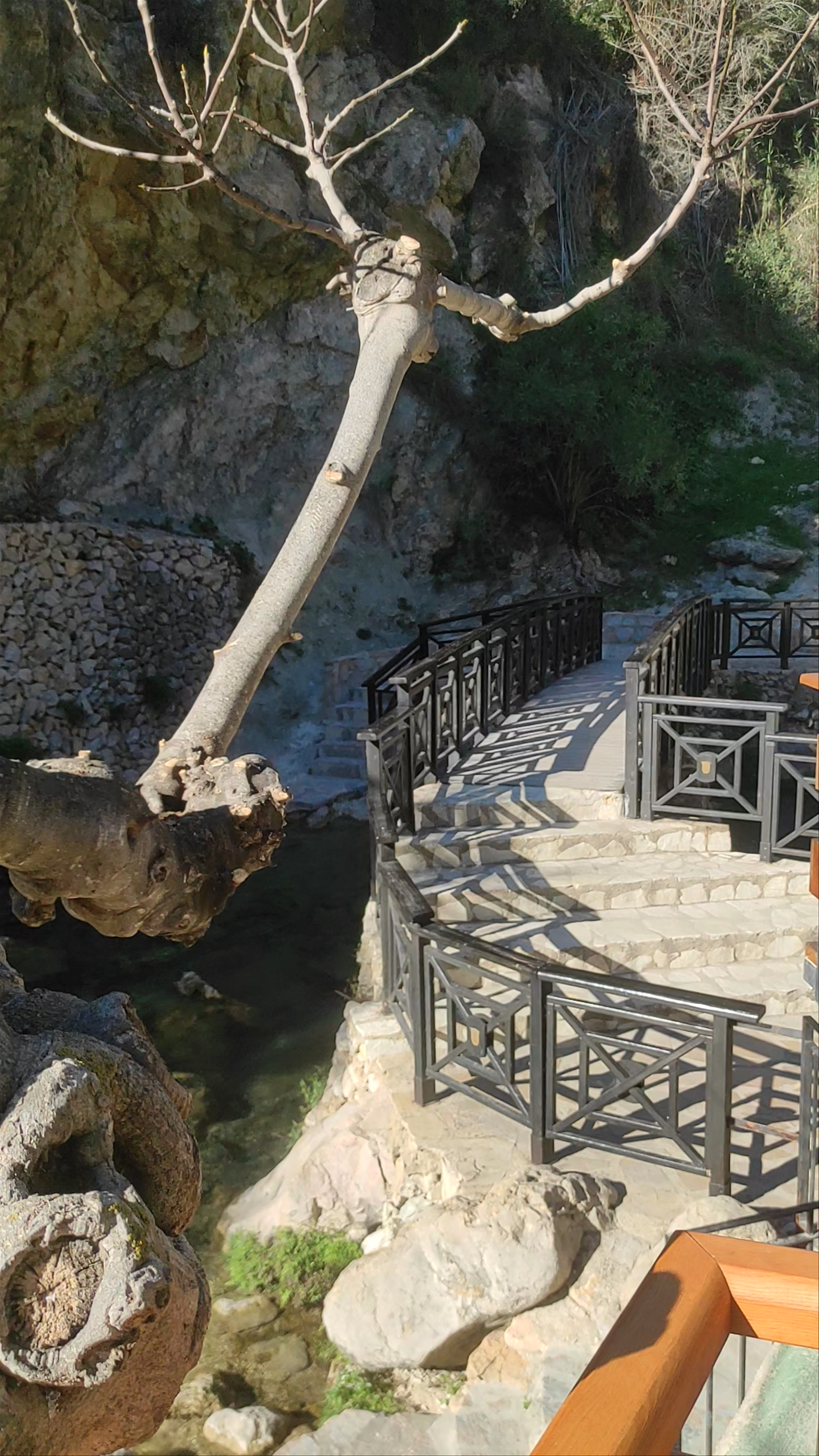 Fonts de l'Algar