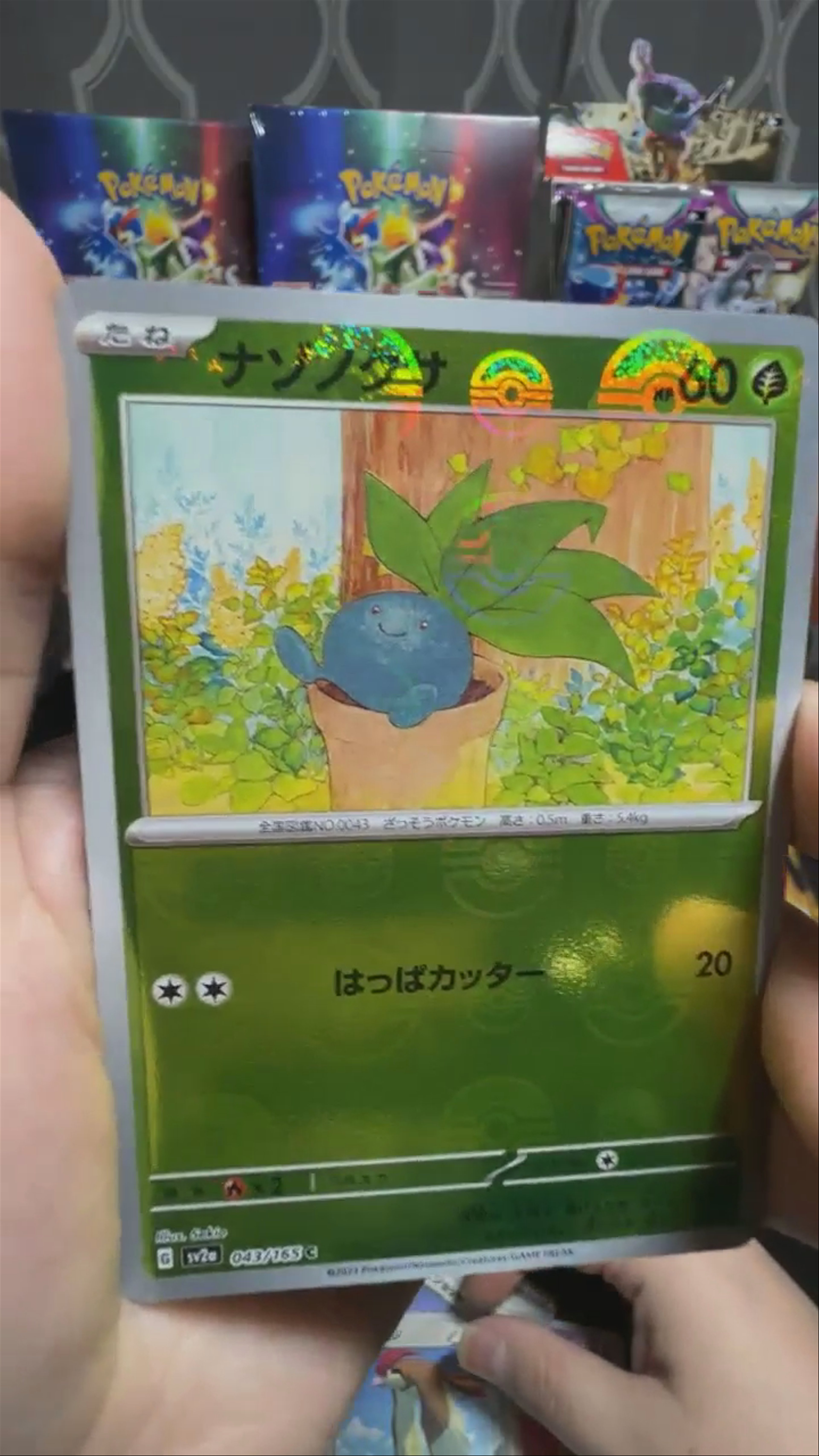 151 Mew