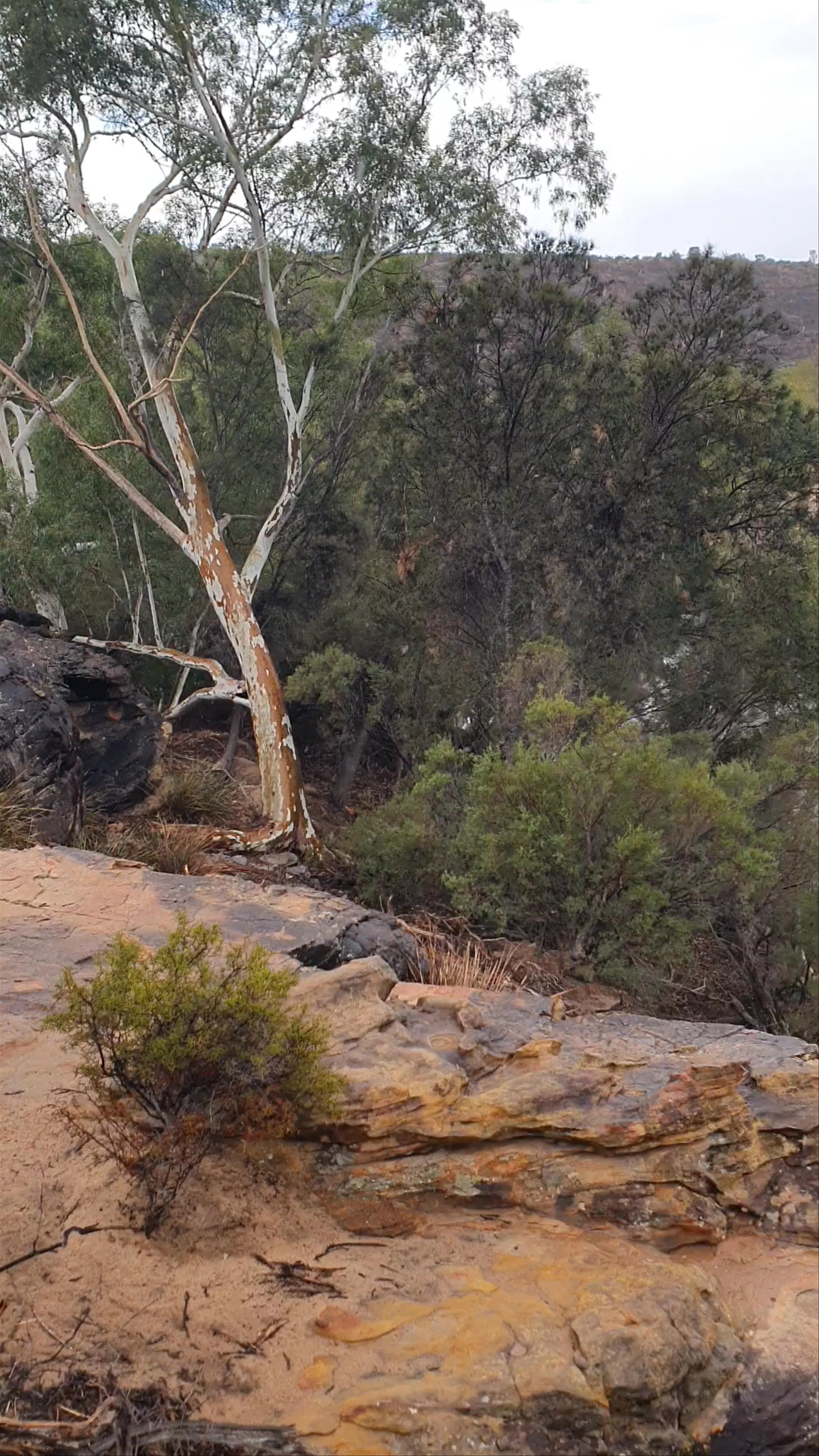Ross Graham River Walk, Kalbarri National Park