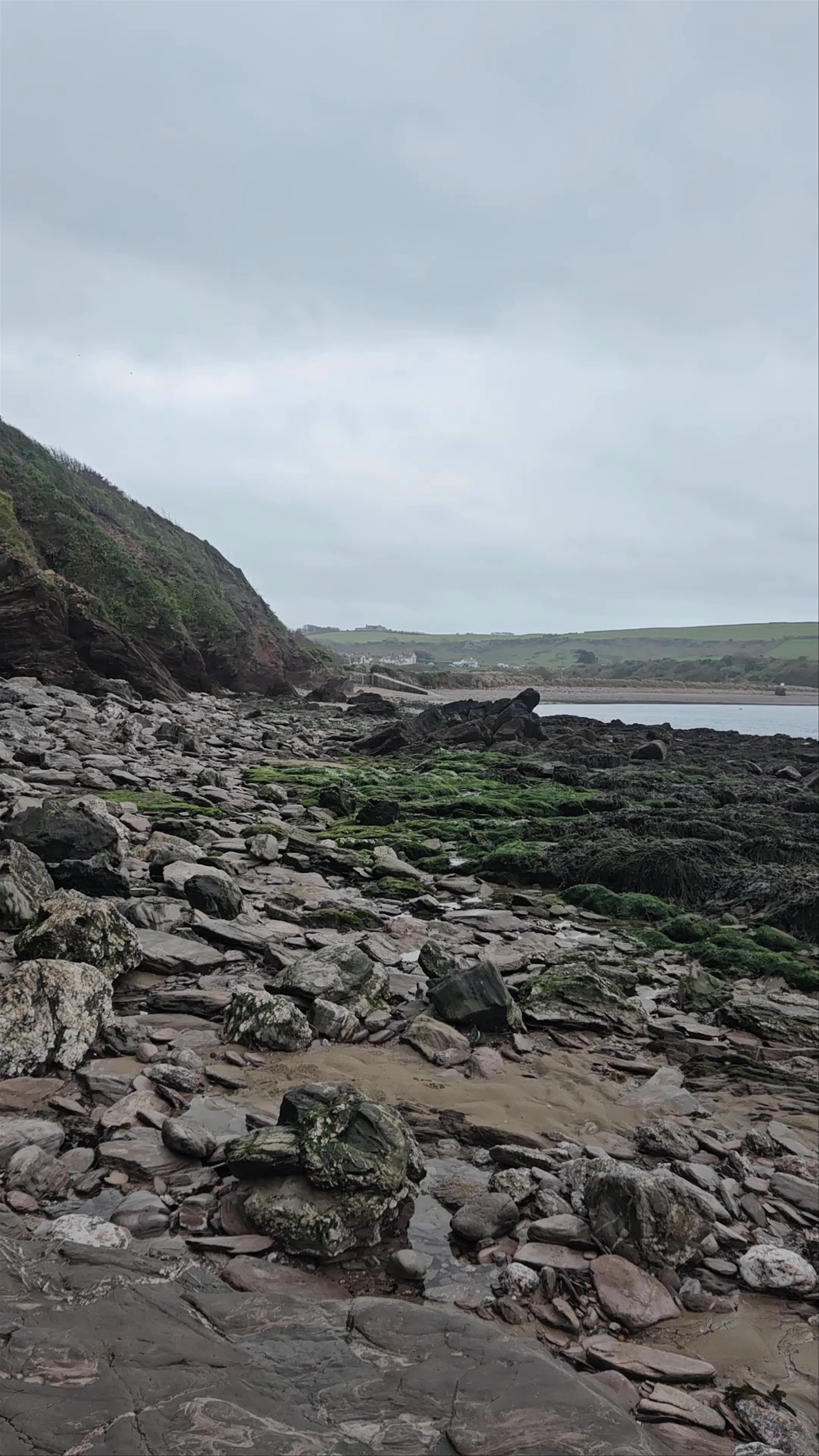 Sedgewell Cove