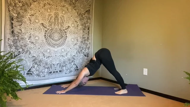 All Levels Yoga 2 - Carly