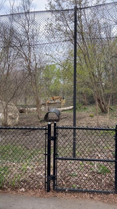Henry Vilas Park Zoo - Zoos Near Me - Madison, Wisconsin