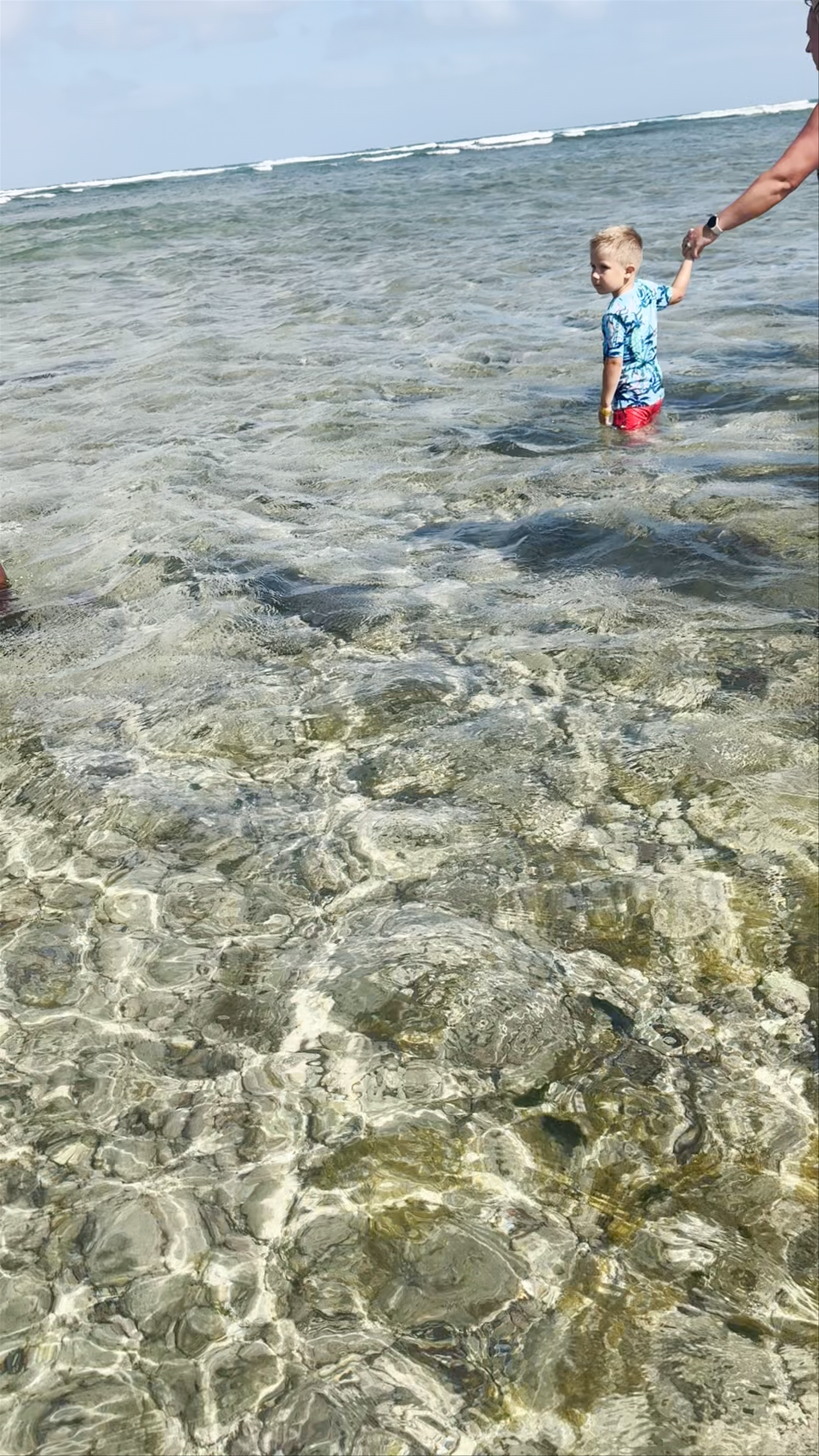 Shark Bay