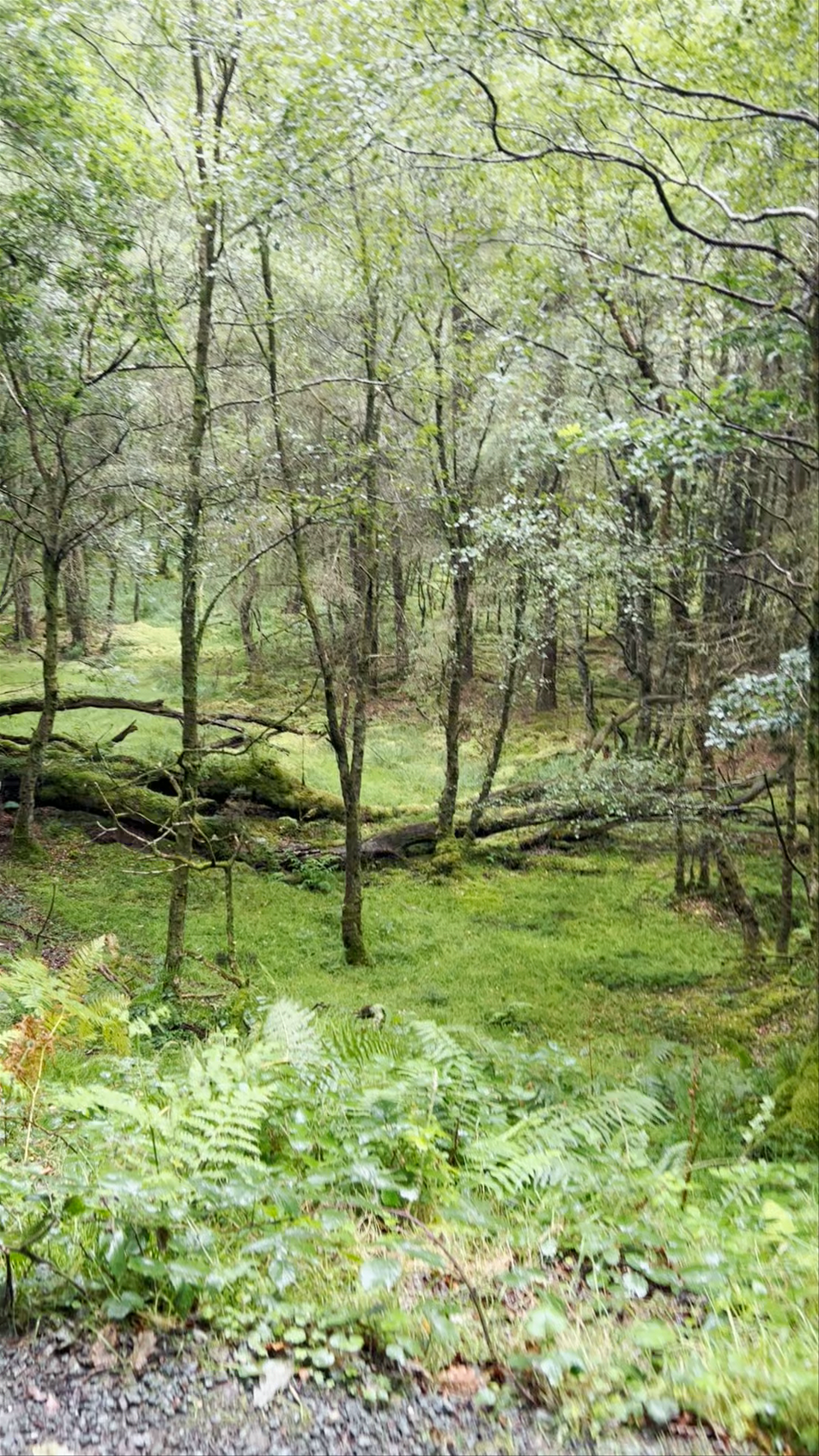 Wicklow Mountains