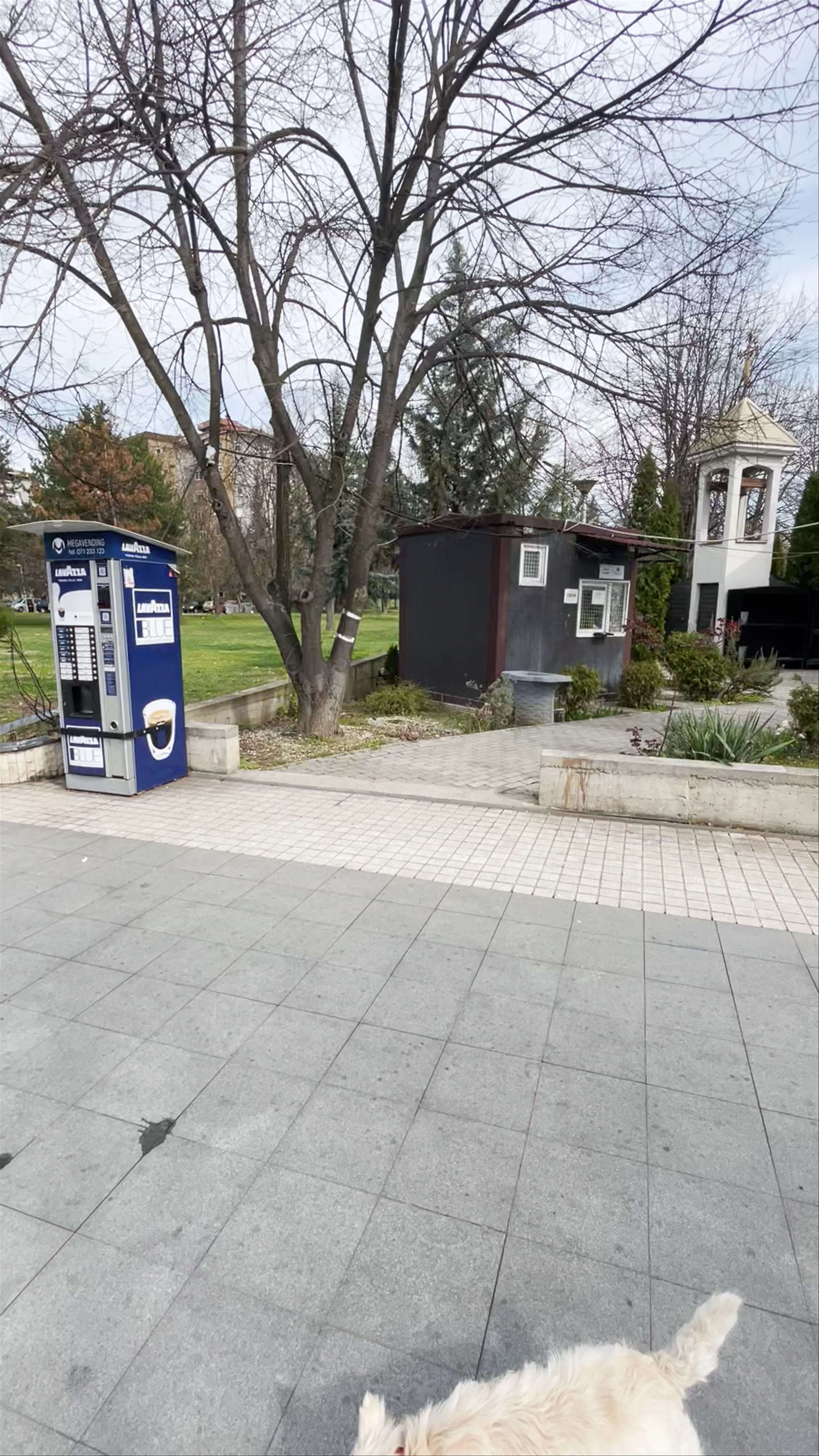 Memorial Park „Toše Proeski“