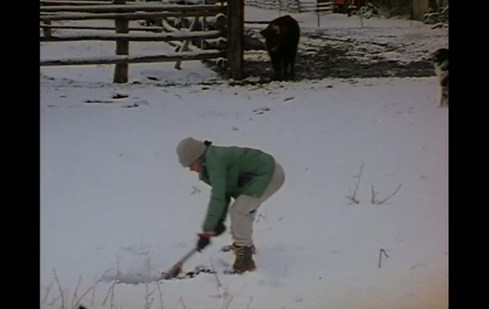 Horses and cattle forage in a snow-covered ranch landscape as a person works to clear packed snow or ice with a shovel. The narration describes the region’s severe winter conditions, including deep snow, cracking ice, and temperatures as low as 40 below zero.