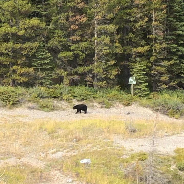 Interlakes Campground - Campgrounds Near Me - Kananaskis, Alberta