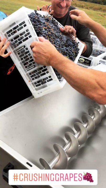 Gino Pinto - Wineries Near Me - Hammonton, New Jersey