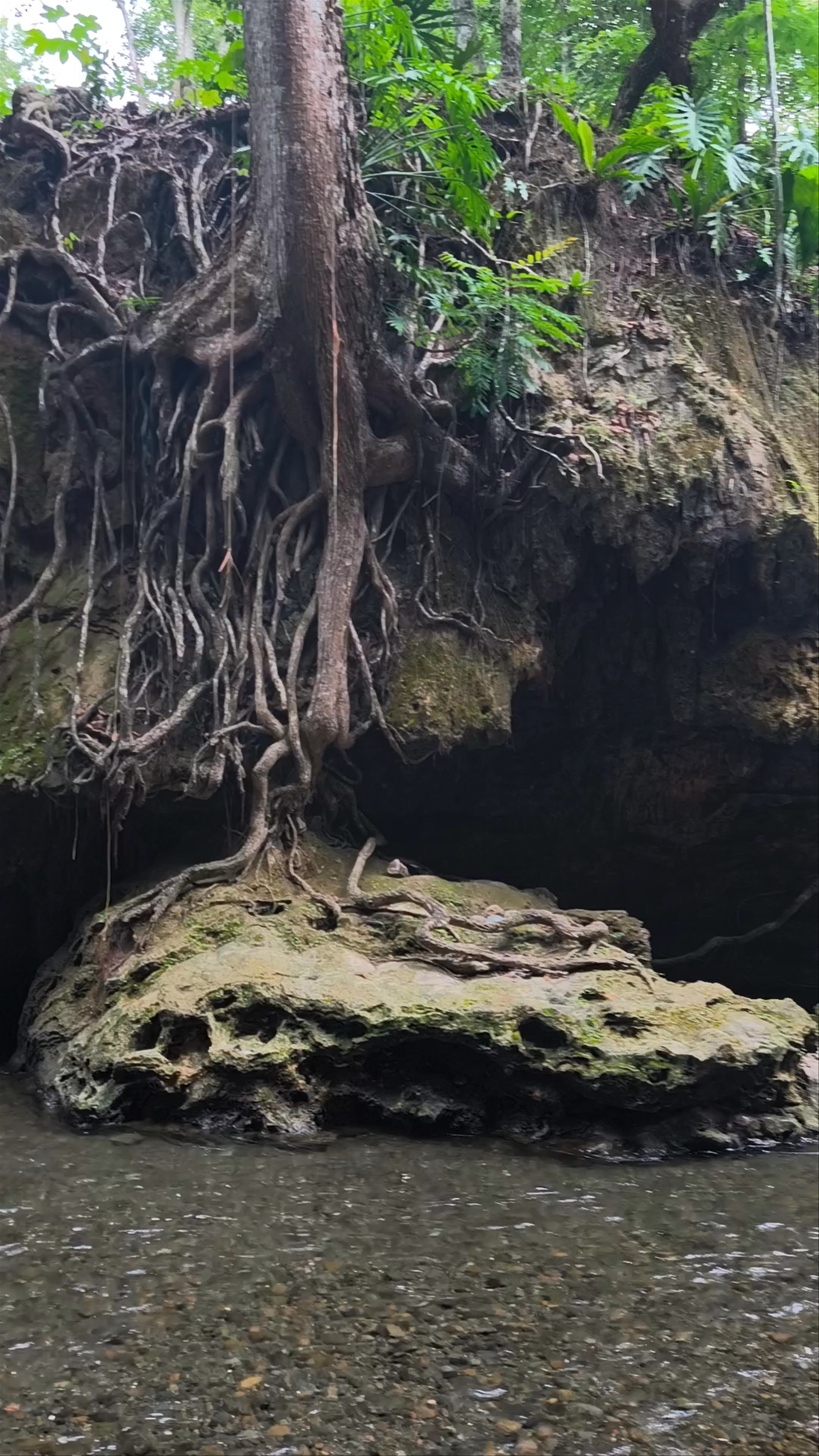 Cataratas de Aguas Termales - Finca El Paraíso