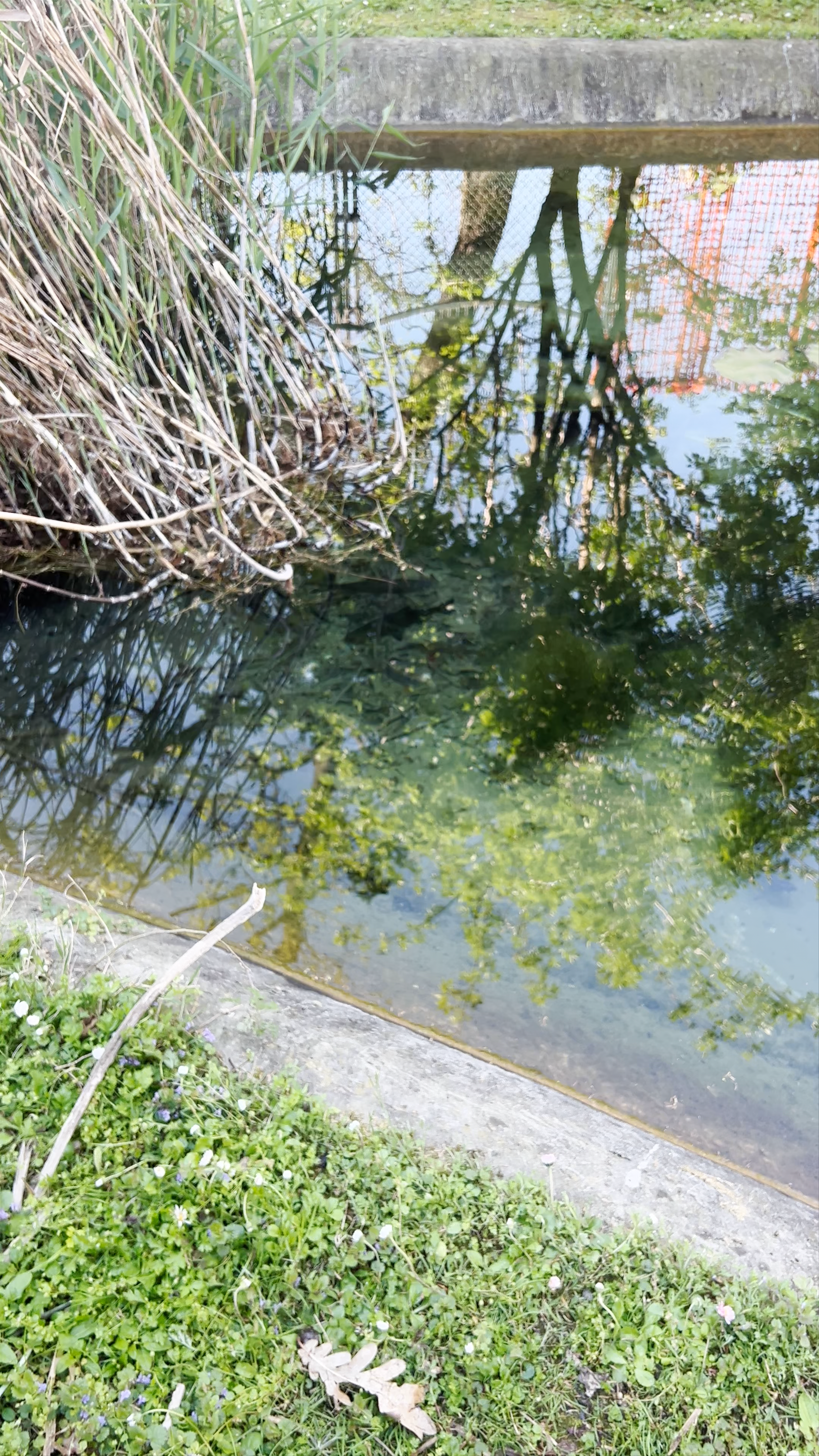 Tranquil Moments at Acquario Civico in Milan