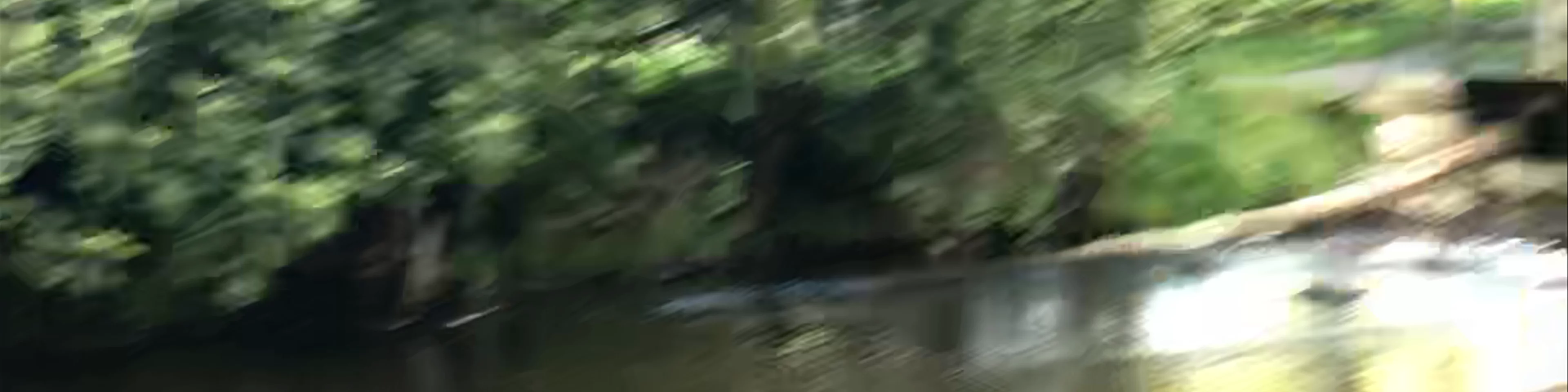 Boone Fork Trail, Boone