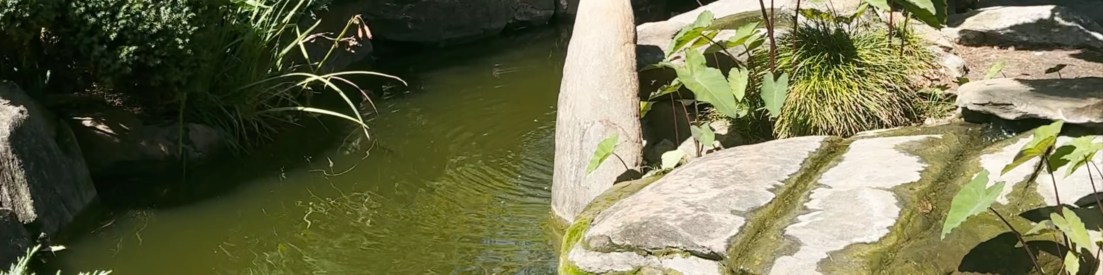 Himeji Gardens