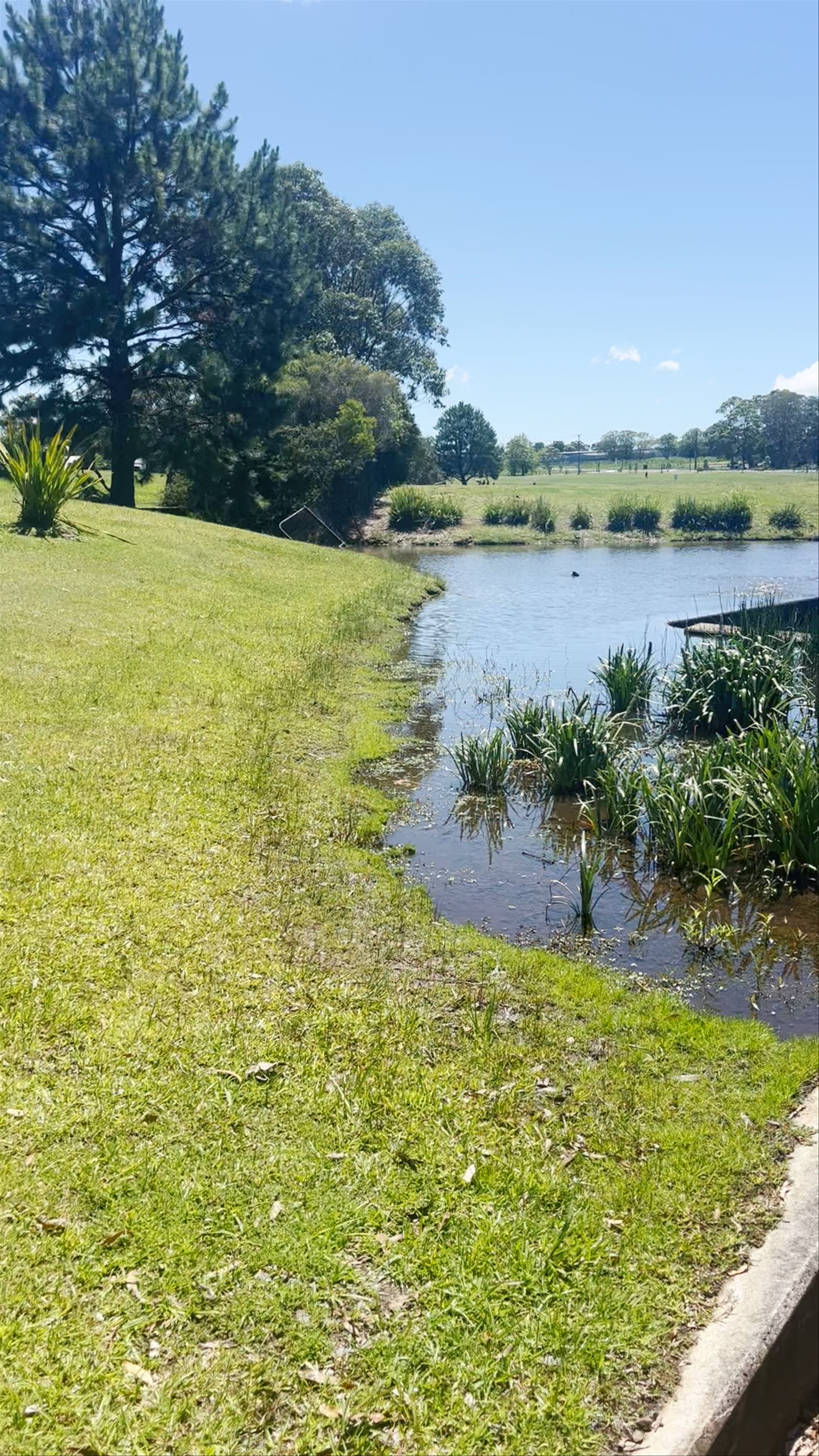 Mount Penang Gardens