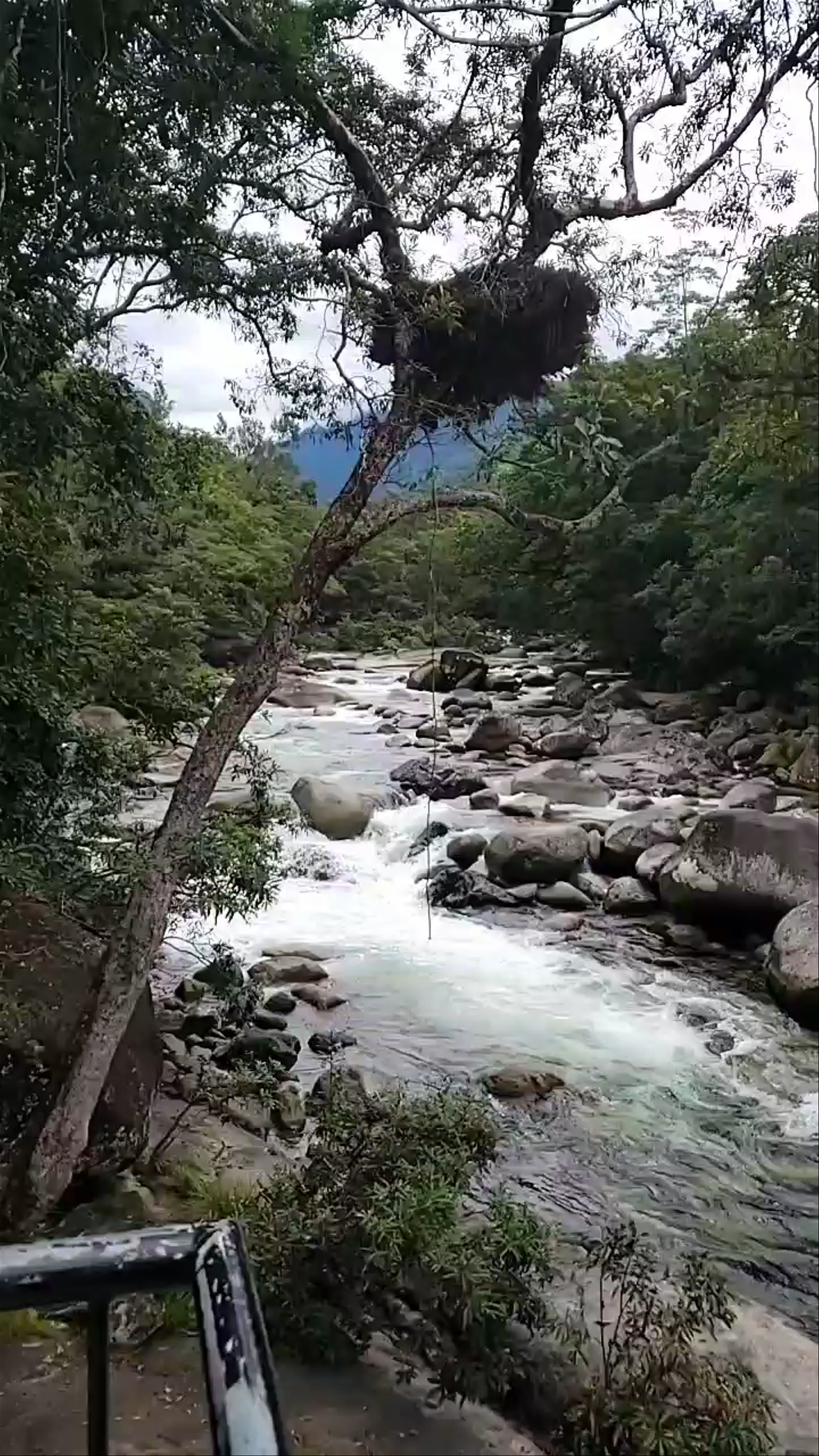 Babinda Boulders