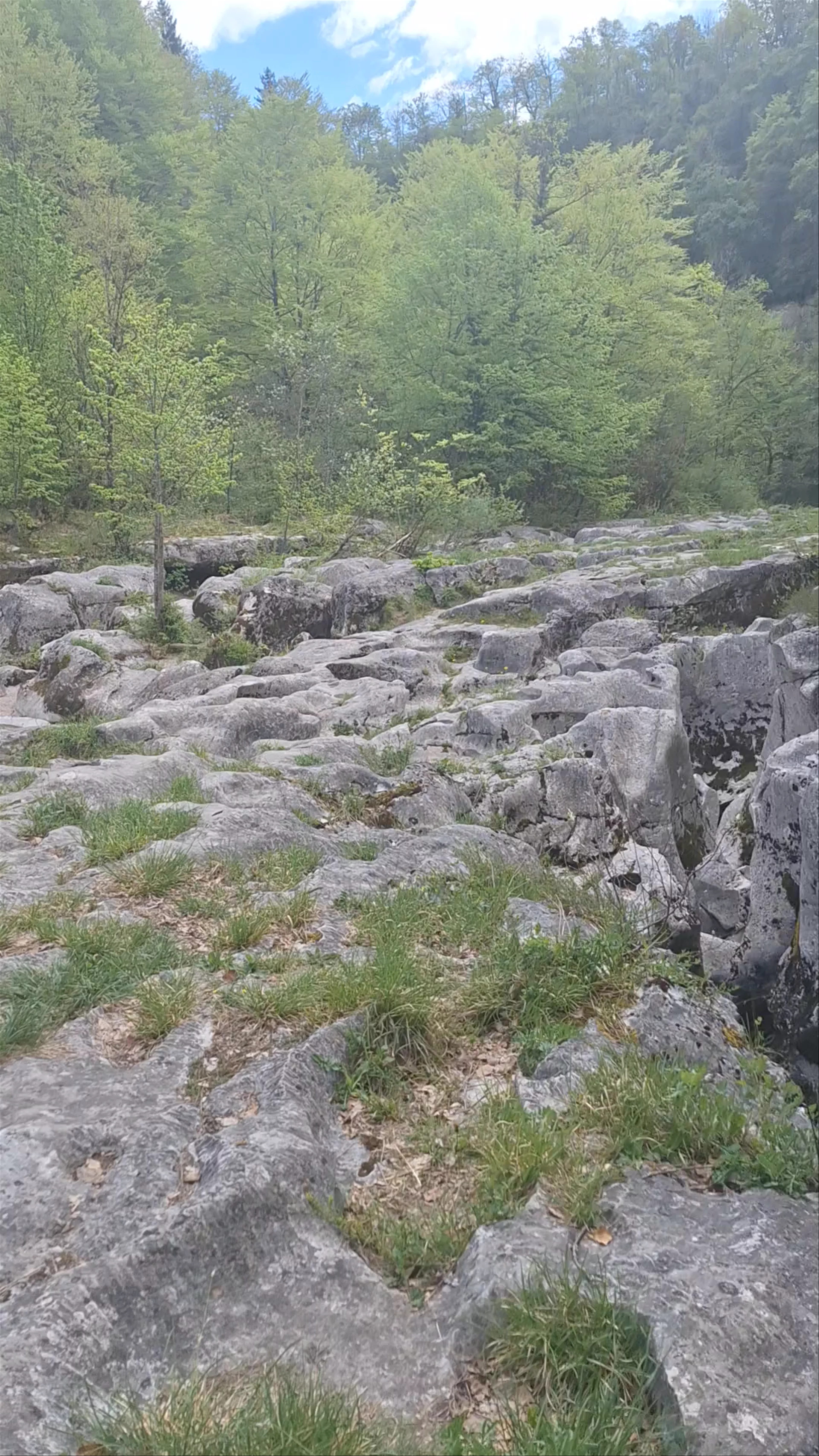 Les Pertes de la Valserine