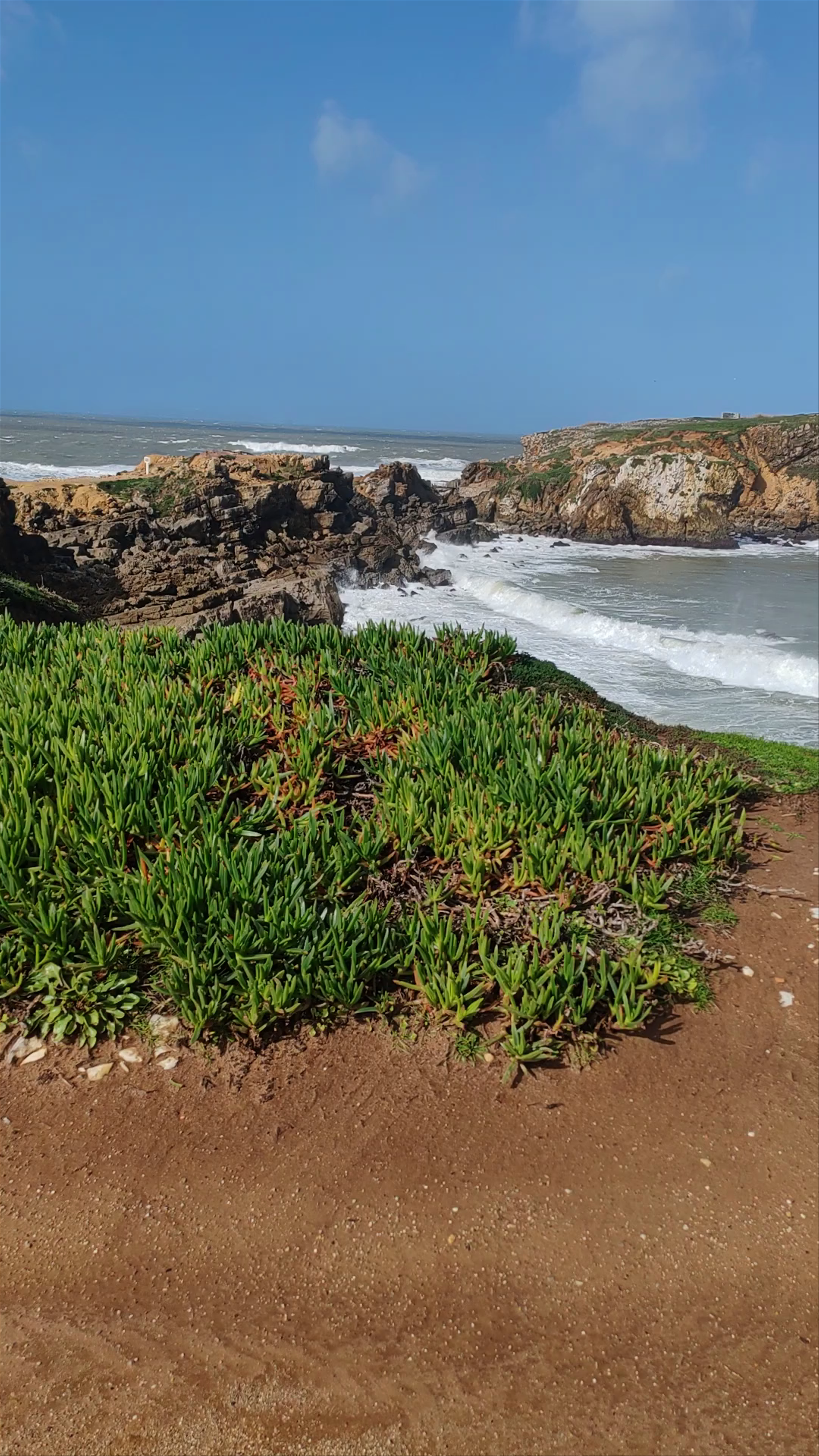 Papôa - Peniche