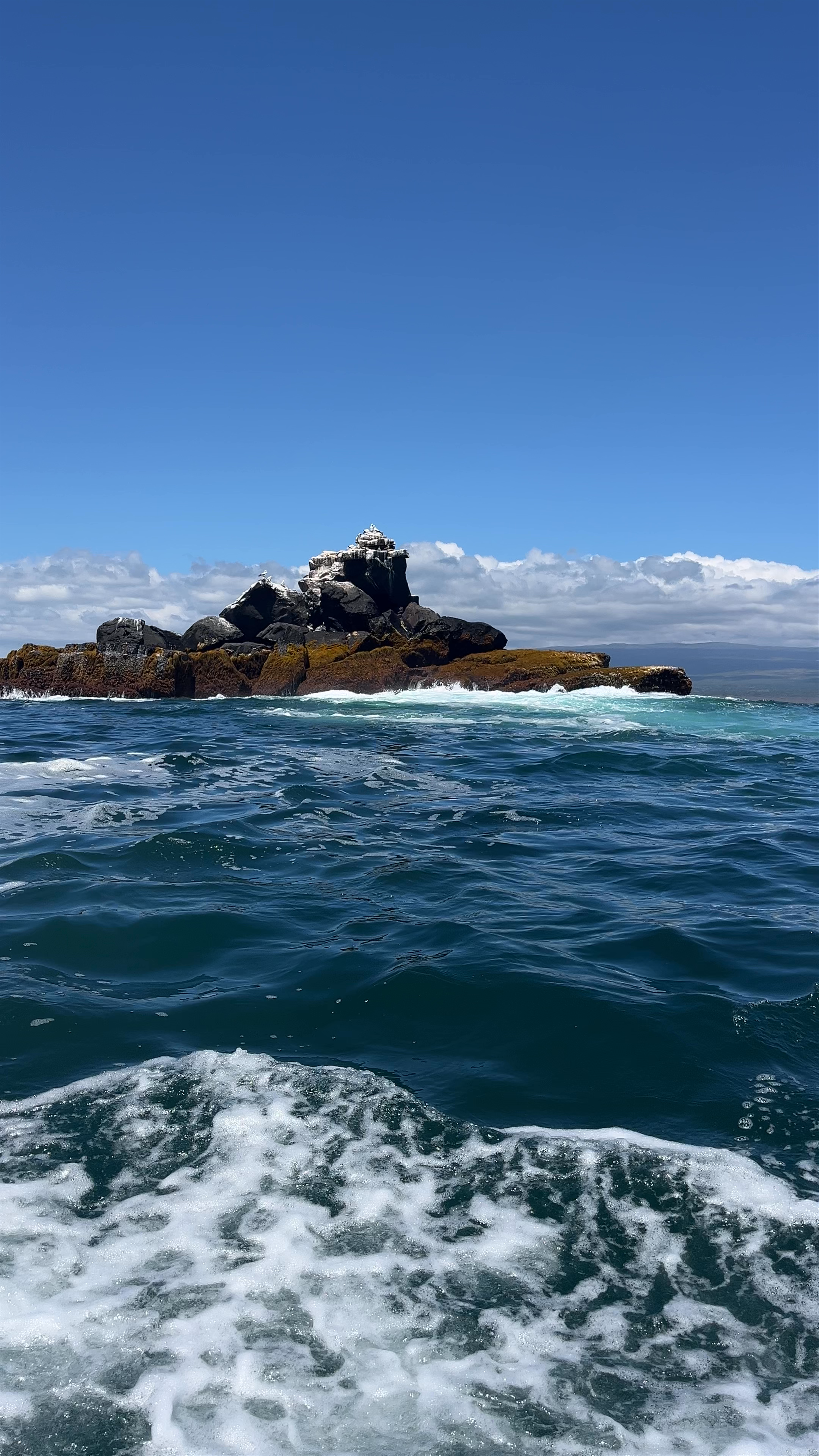 Islote La Unión: Wild Coastal Beauty Near Puerto Villamil, Ecuador