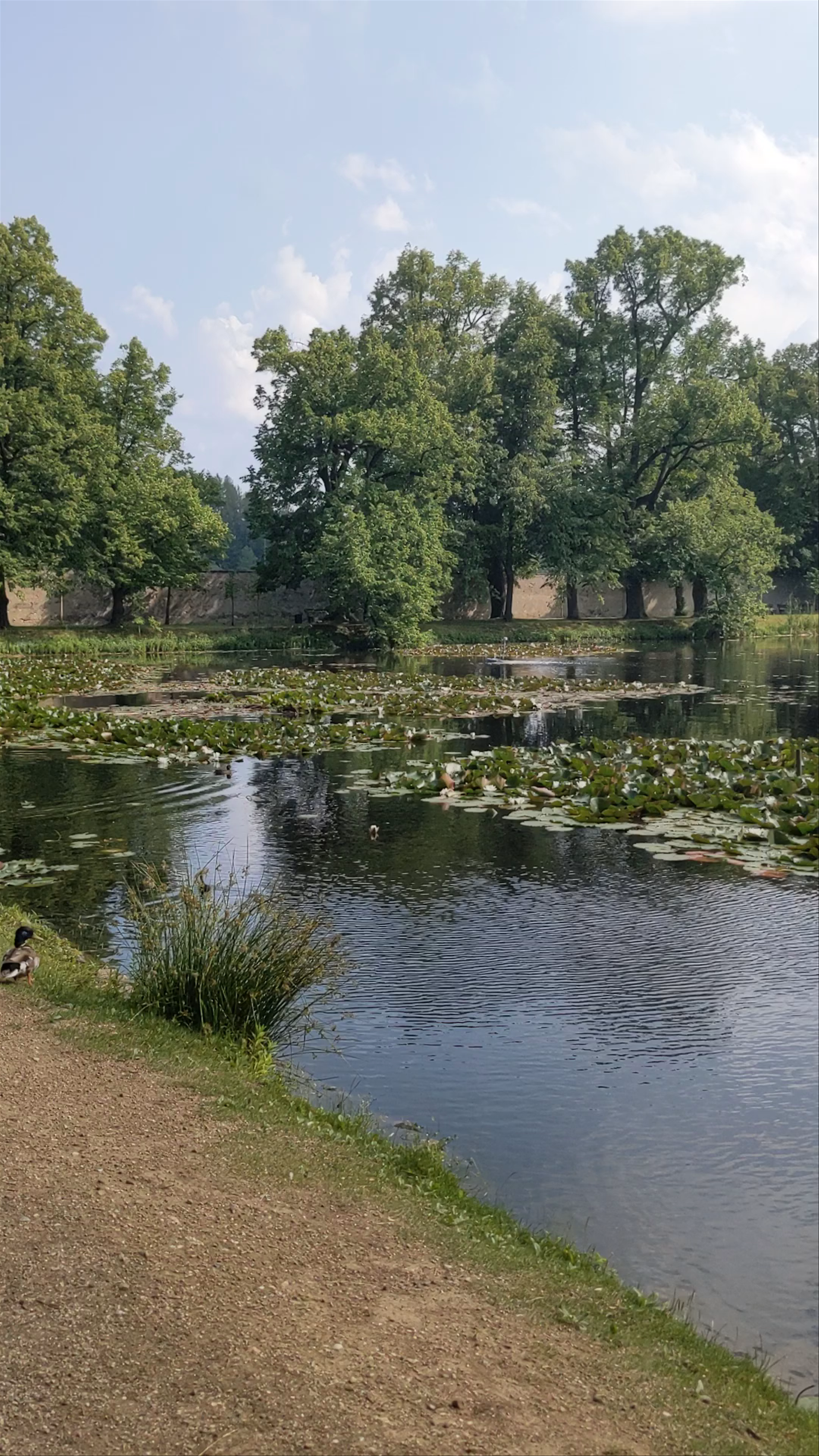 The Castle Garden