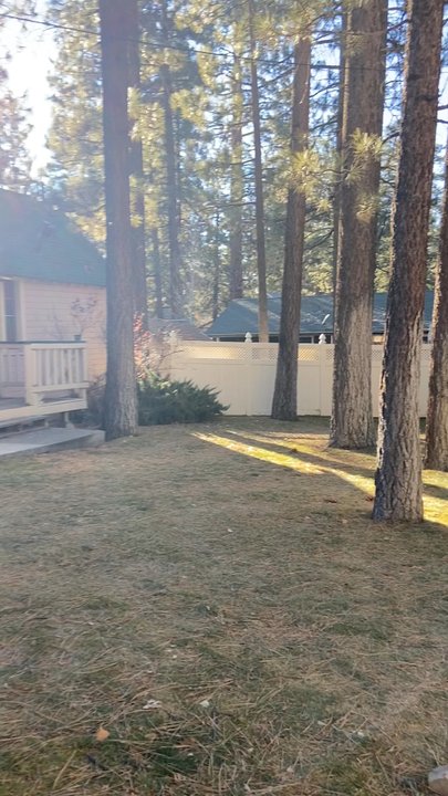 Sleepy Forest Cottages - Our cabin for the weekend - Big Bear Lake, CA
