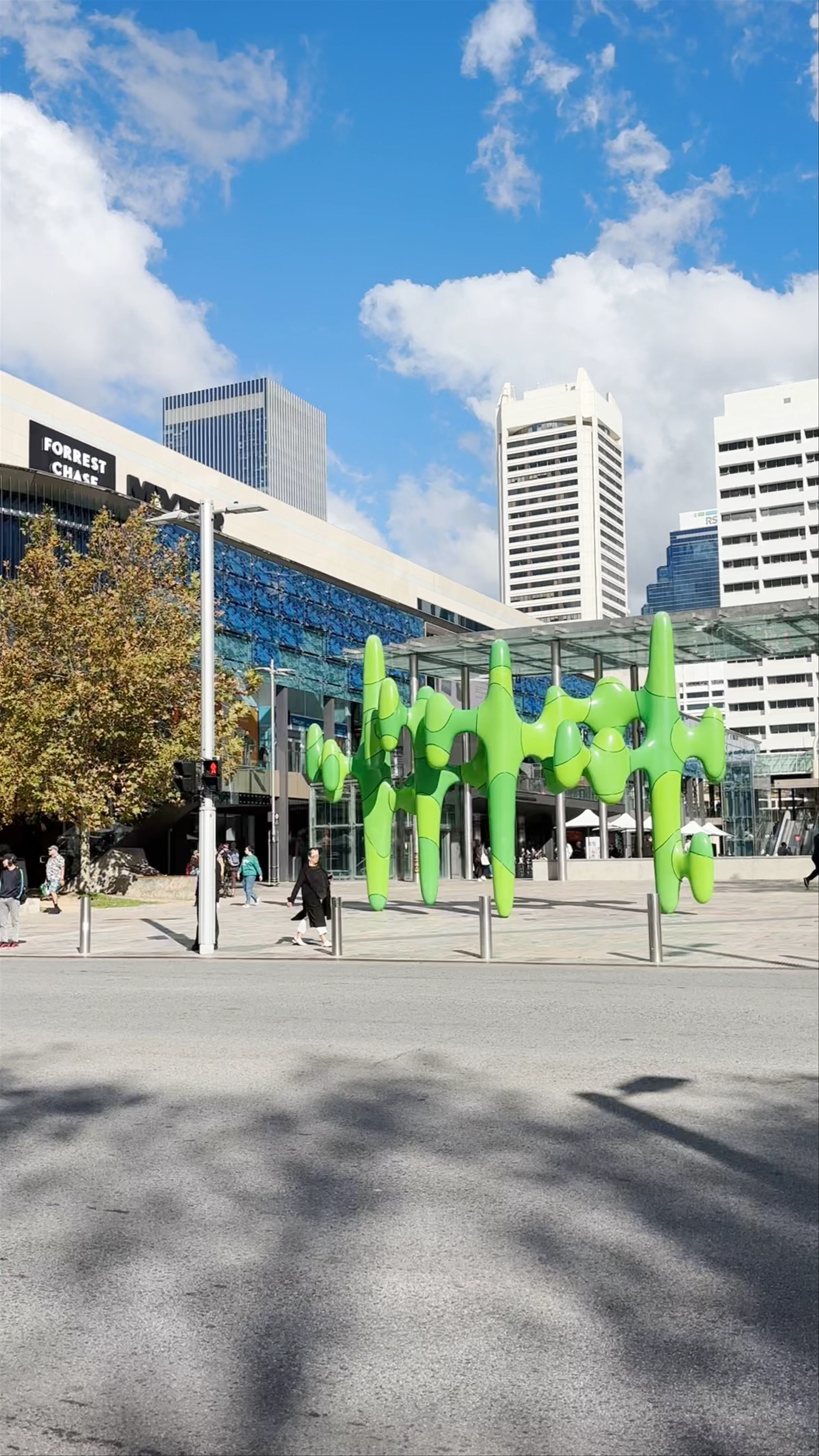 The Big Cactus, Forrest Place