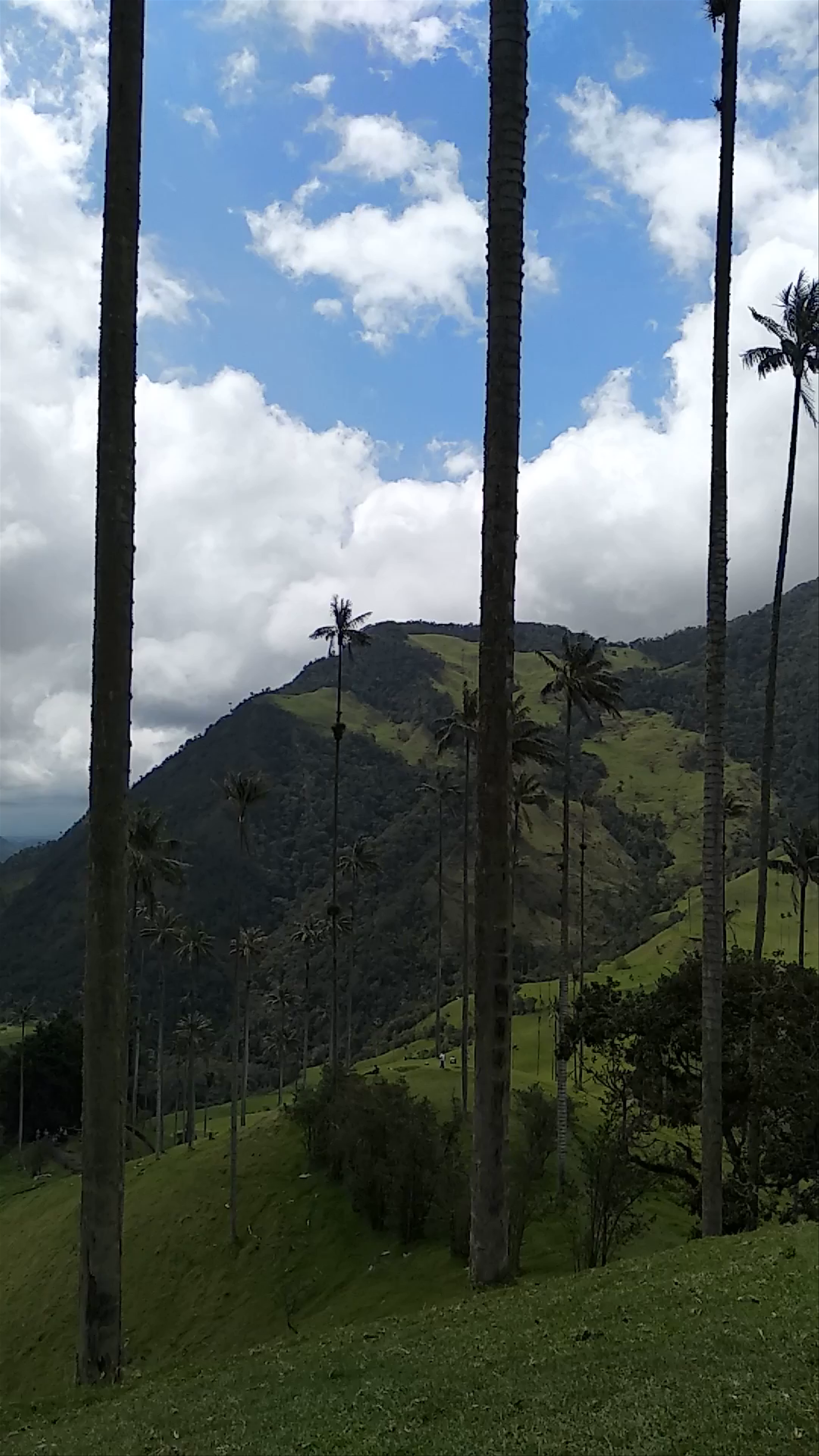 Cocora Valley Anticlockwise Trail Head