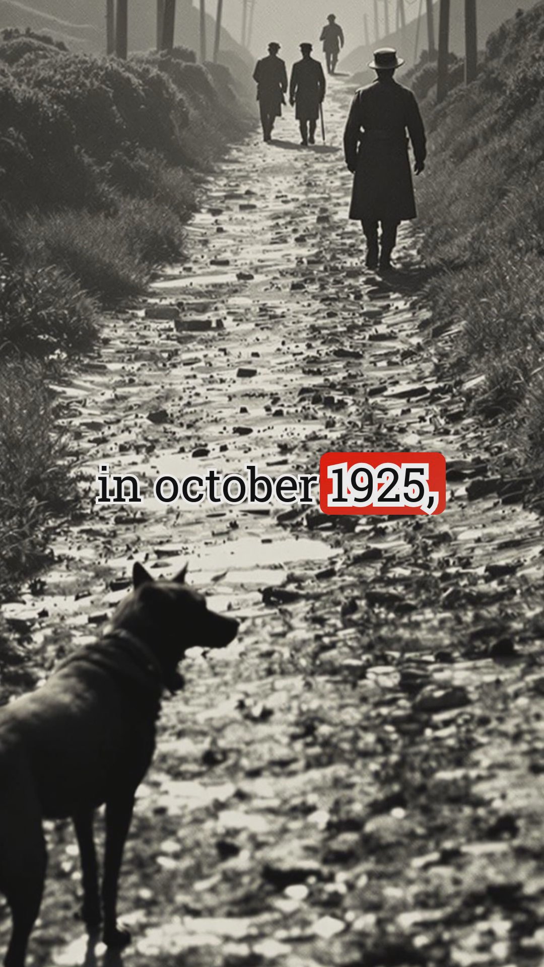 Did a Dog Really Start a War?