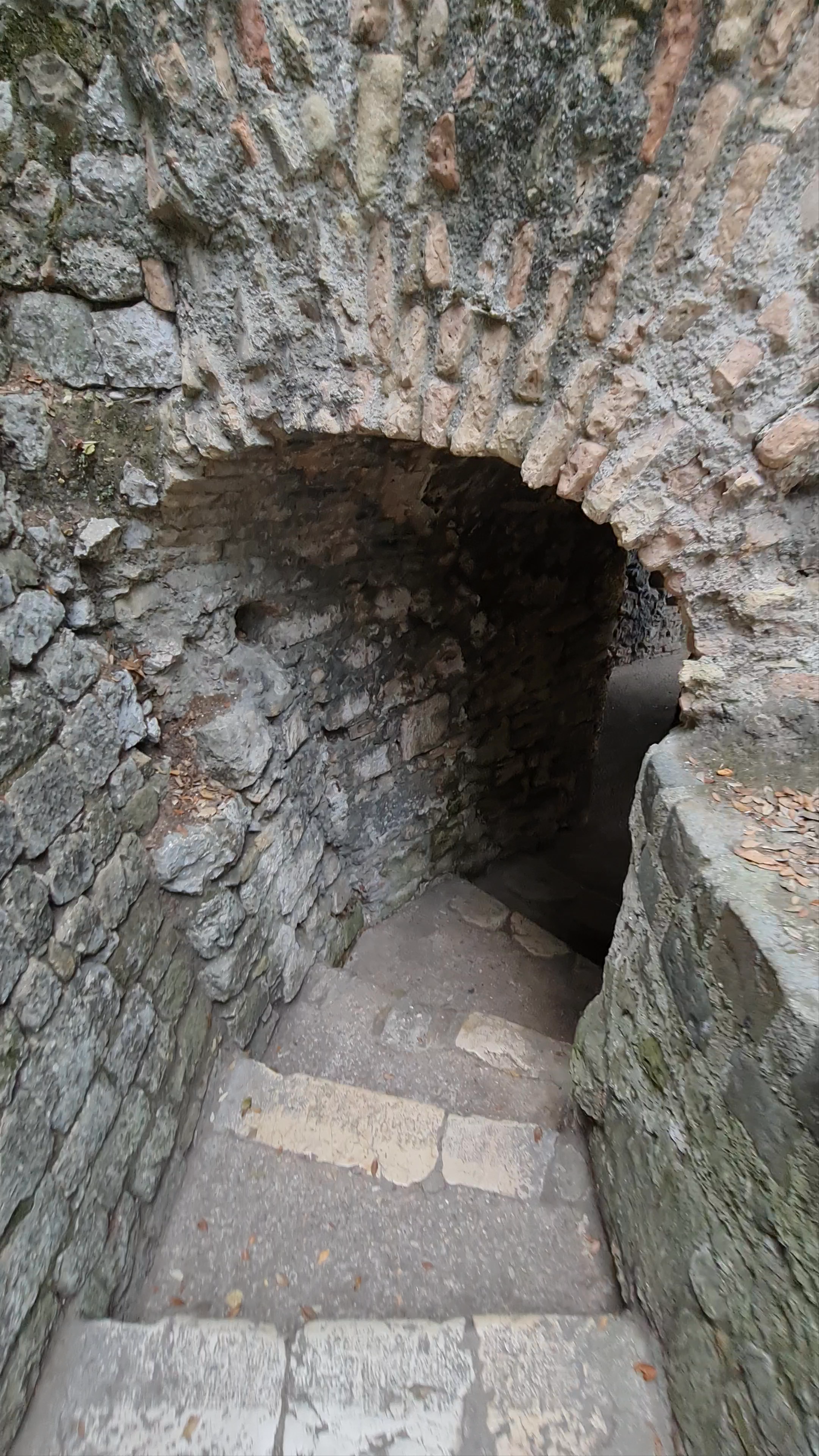 Castle Hill
