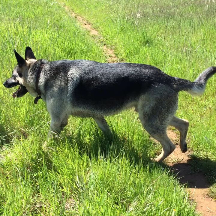 Olmstead Loop Trail - Sam and Hesse stir the pot while Emma looks onward. - Hiking Near Me - Cool, California