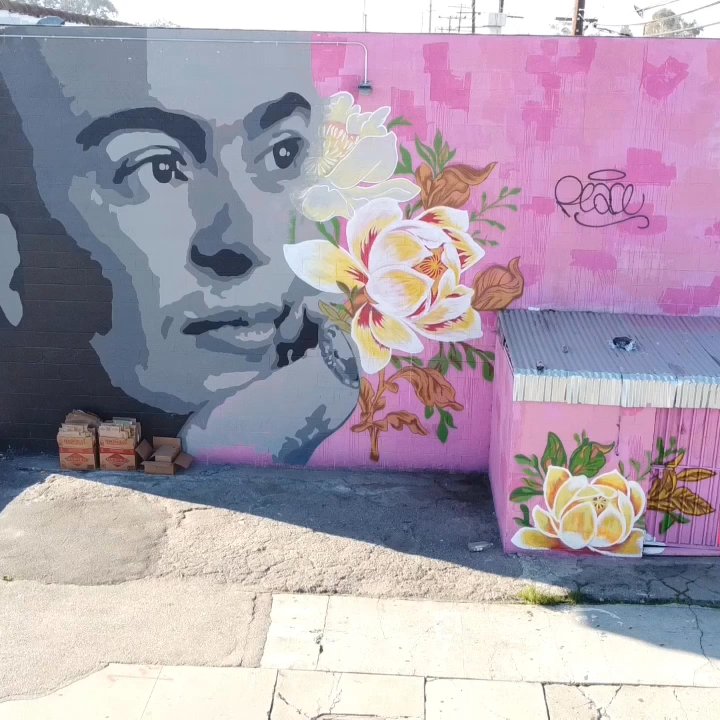 BubblyMat Laundry - Mural - Laundromat Near Me - Lynwood, California