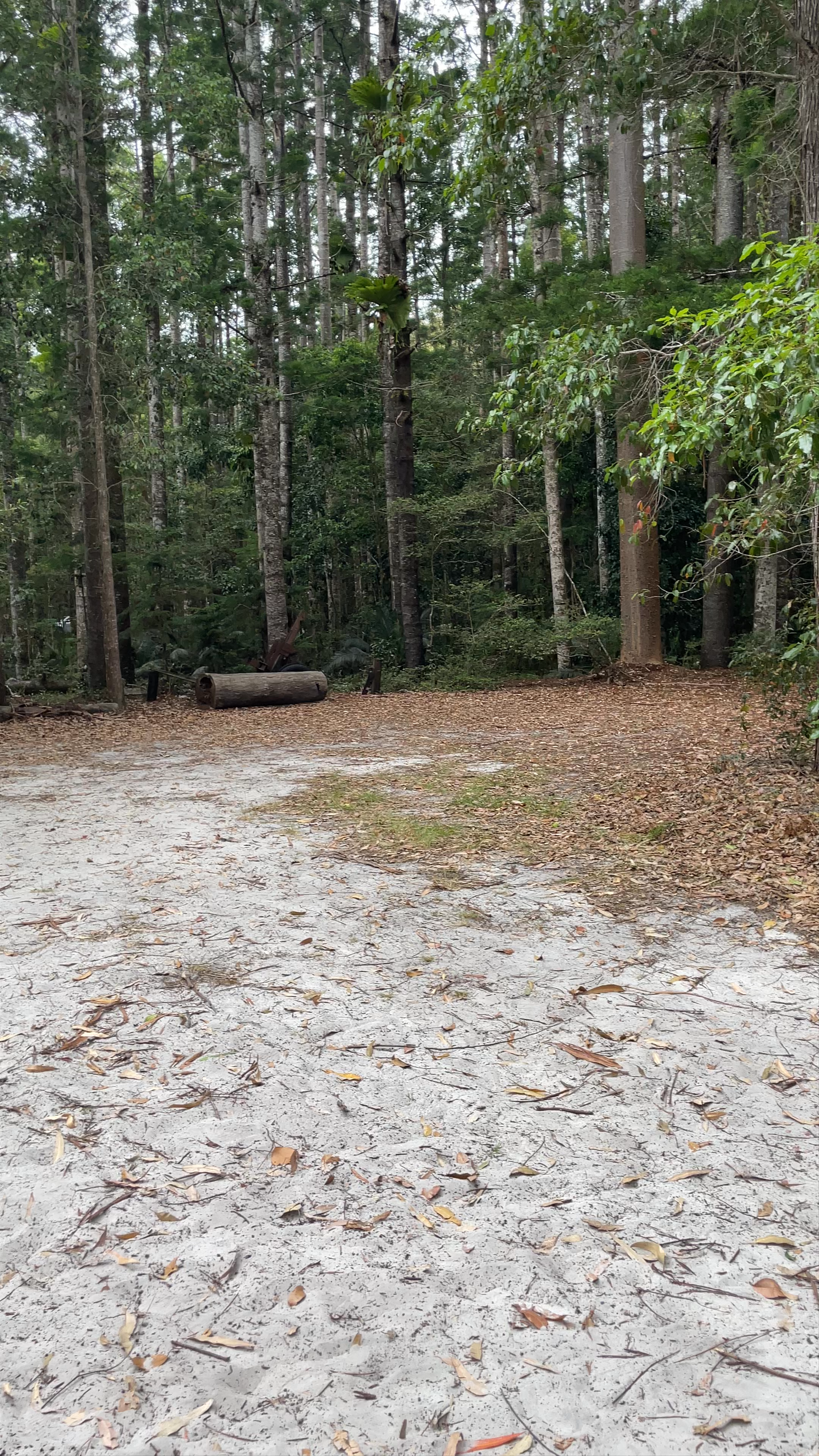 Central Station camping area