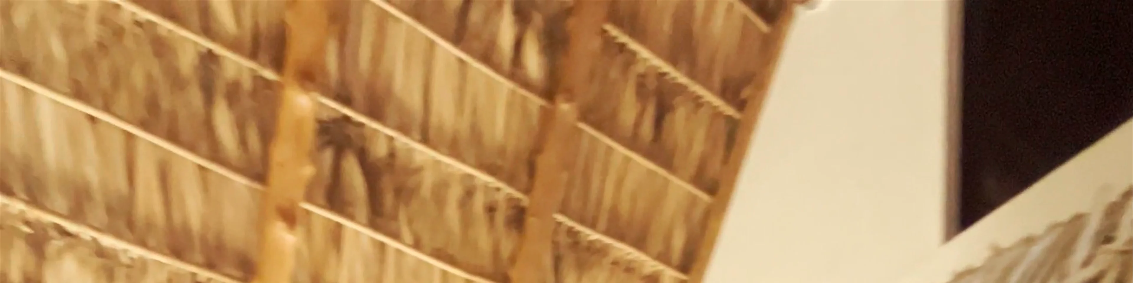 Mirasurf Hotel & Waves