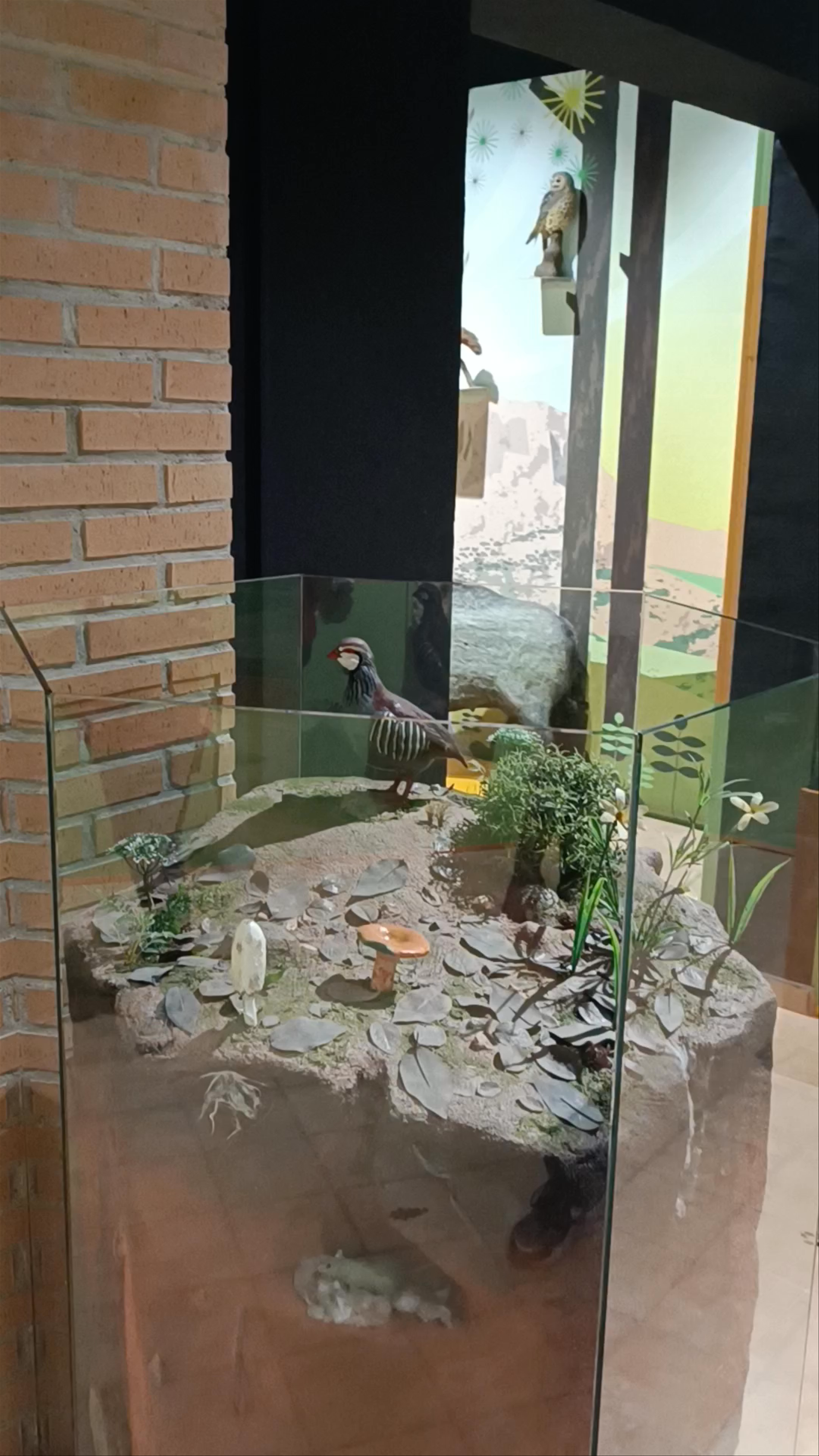 Centro de Visitantes y Gestión Ricardo Codorníu: Discover Murcia’s Forest Legacy