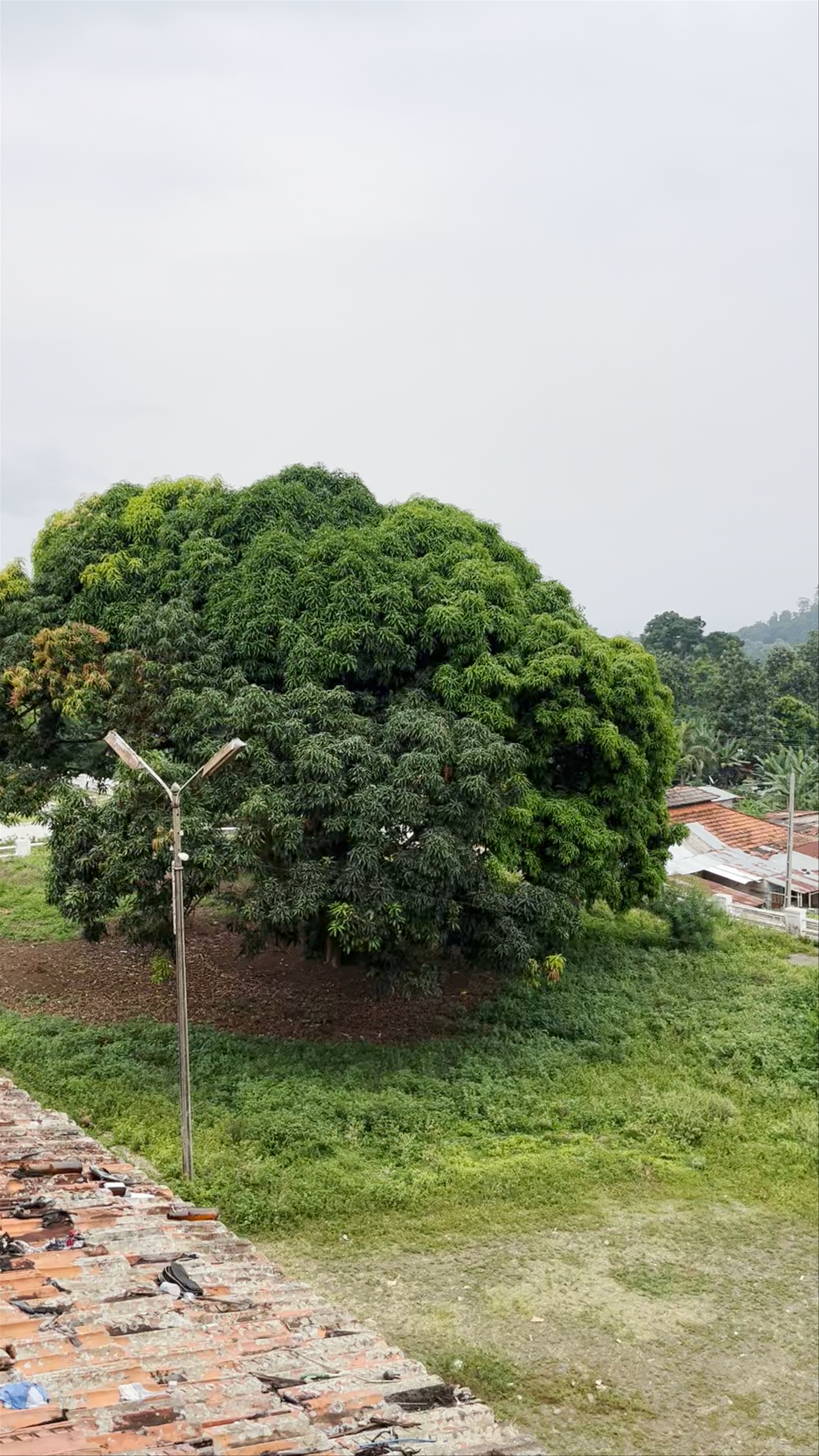 Ruínas do Hospital Agostinho Neto