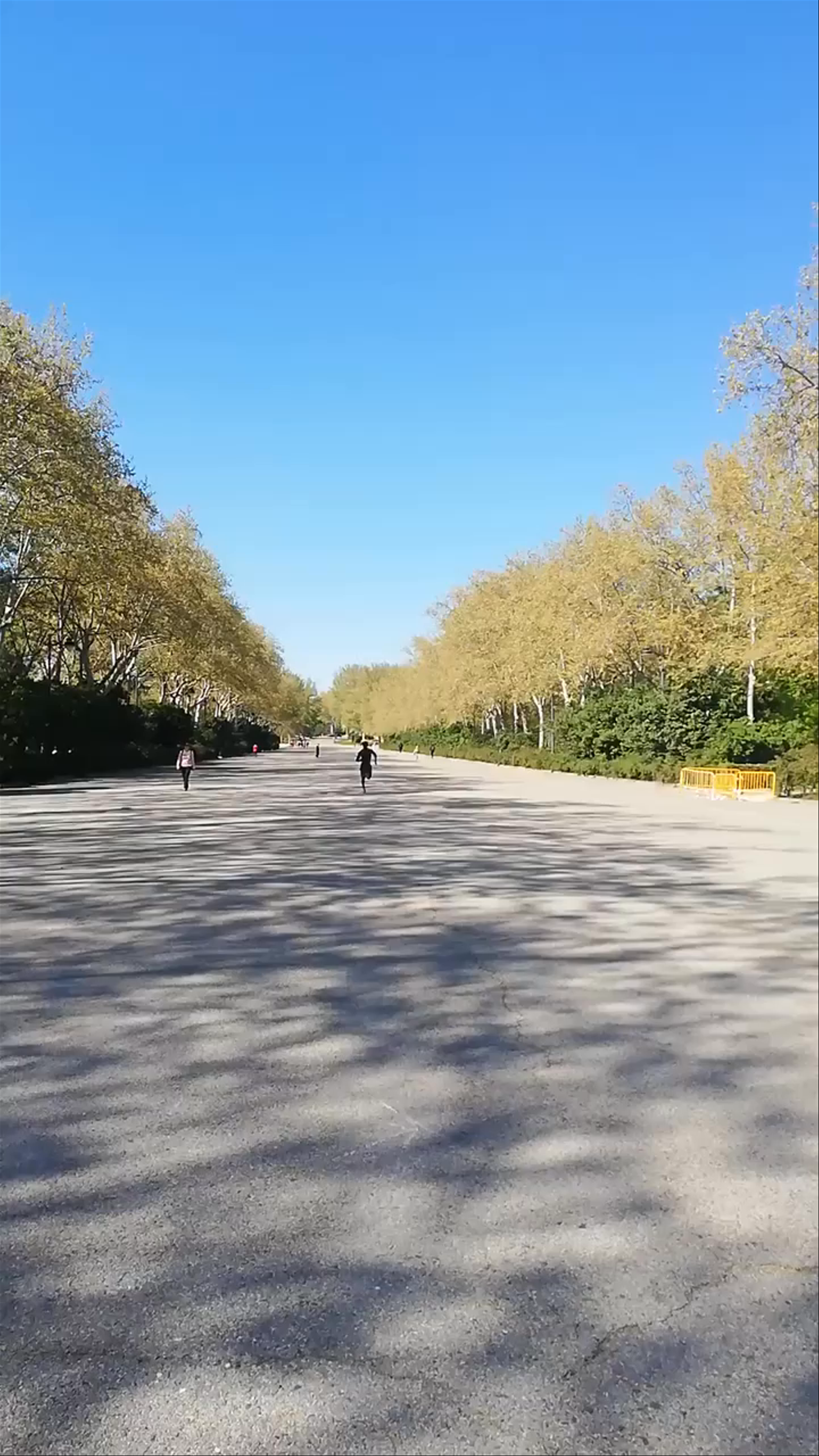 Estanque Grande de El Retiro