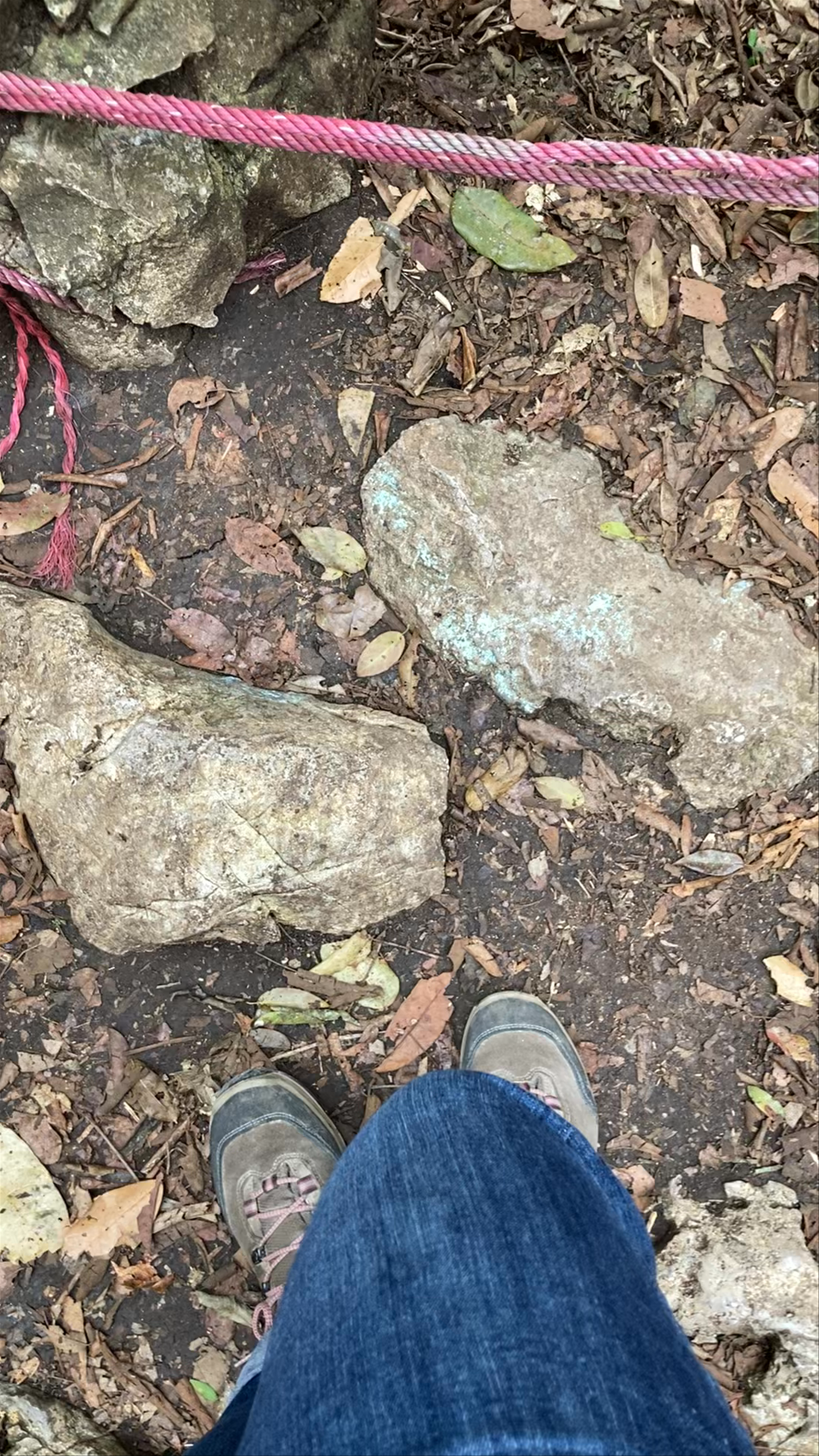 Sotano De Las Huahuas