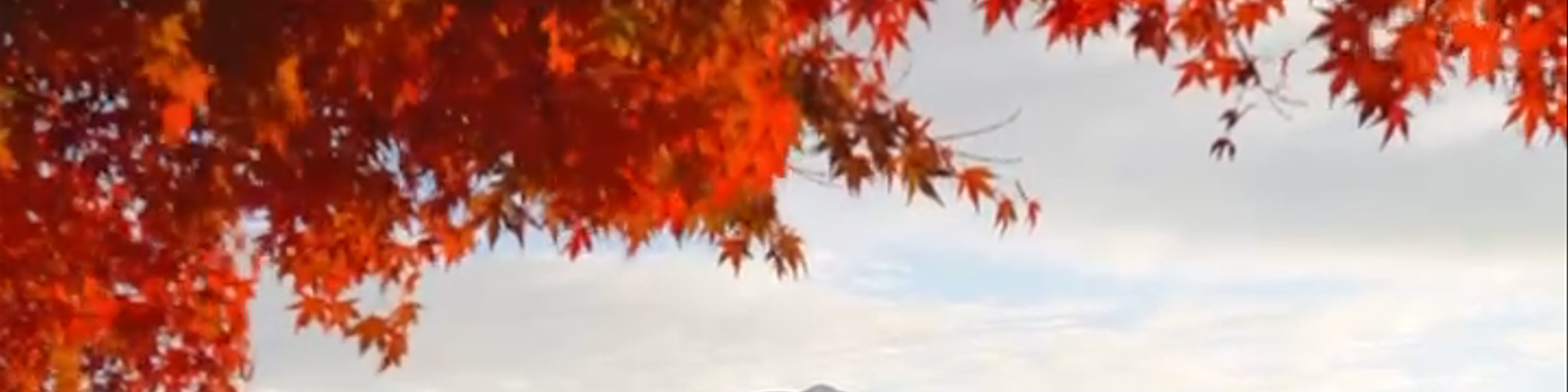 Kofu