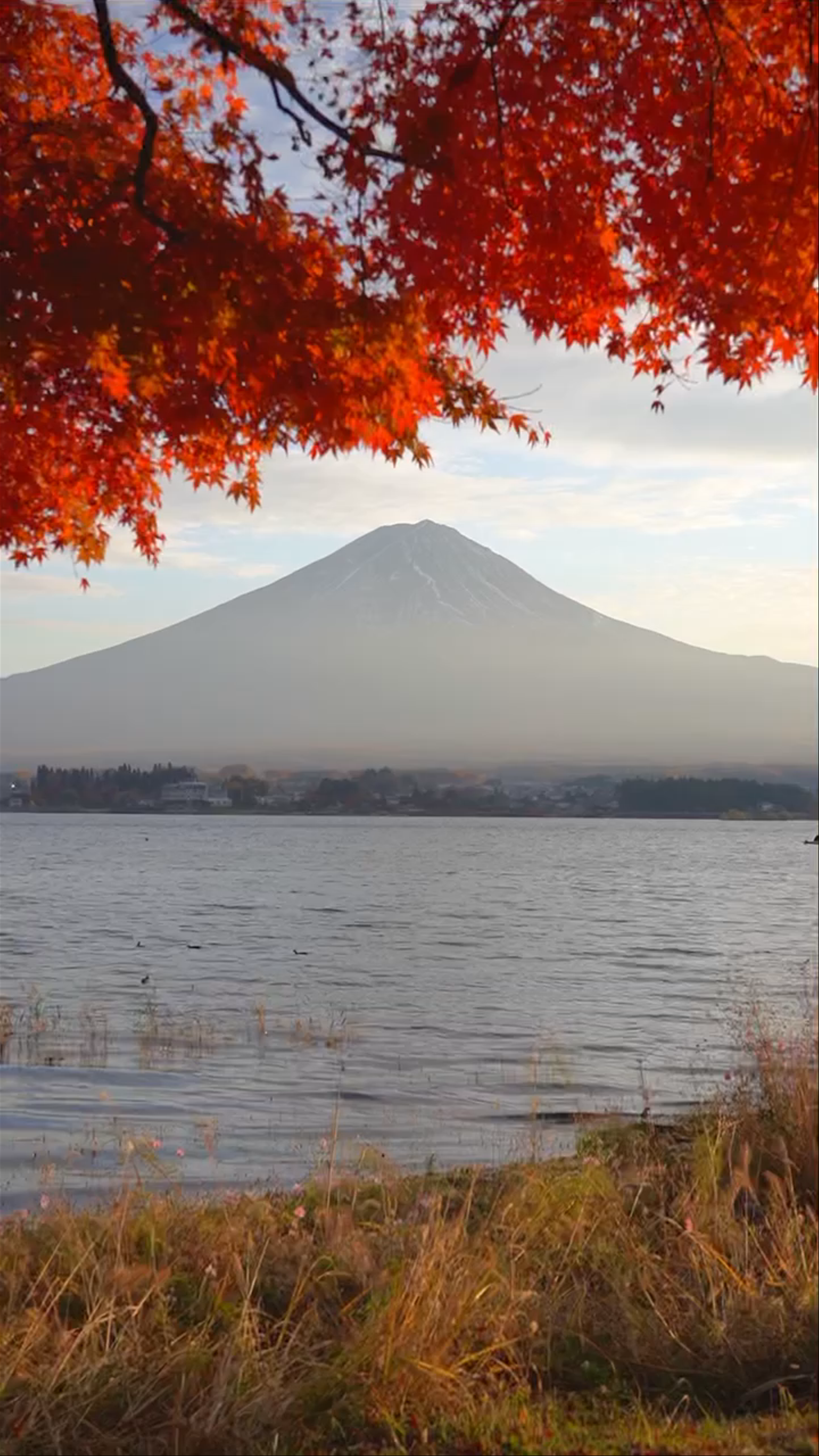 Lake Kawaguchi