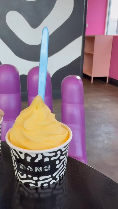 DANG Soft Serve Ice Cream - Ice Cream & Frozen Yogurt Near Me - Denver, Colorado