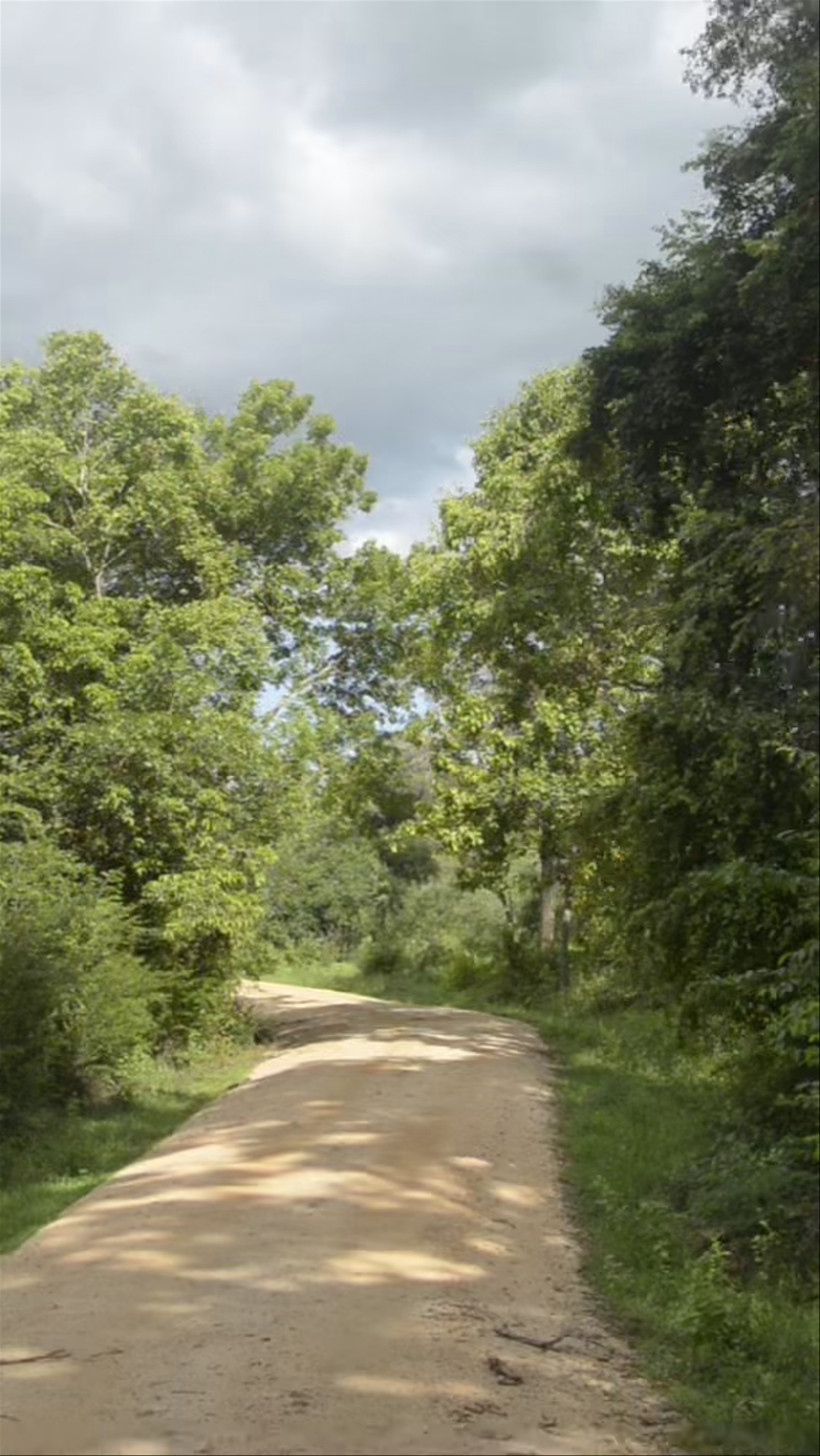 Minneriya National Park