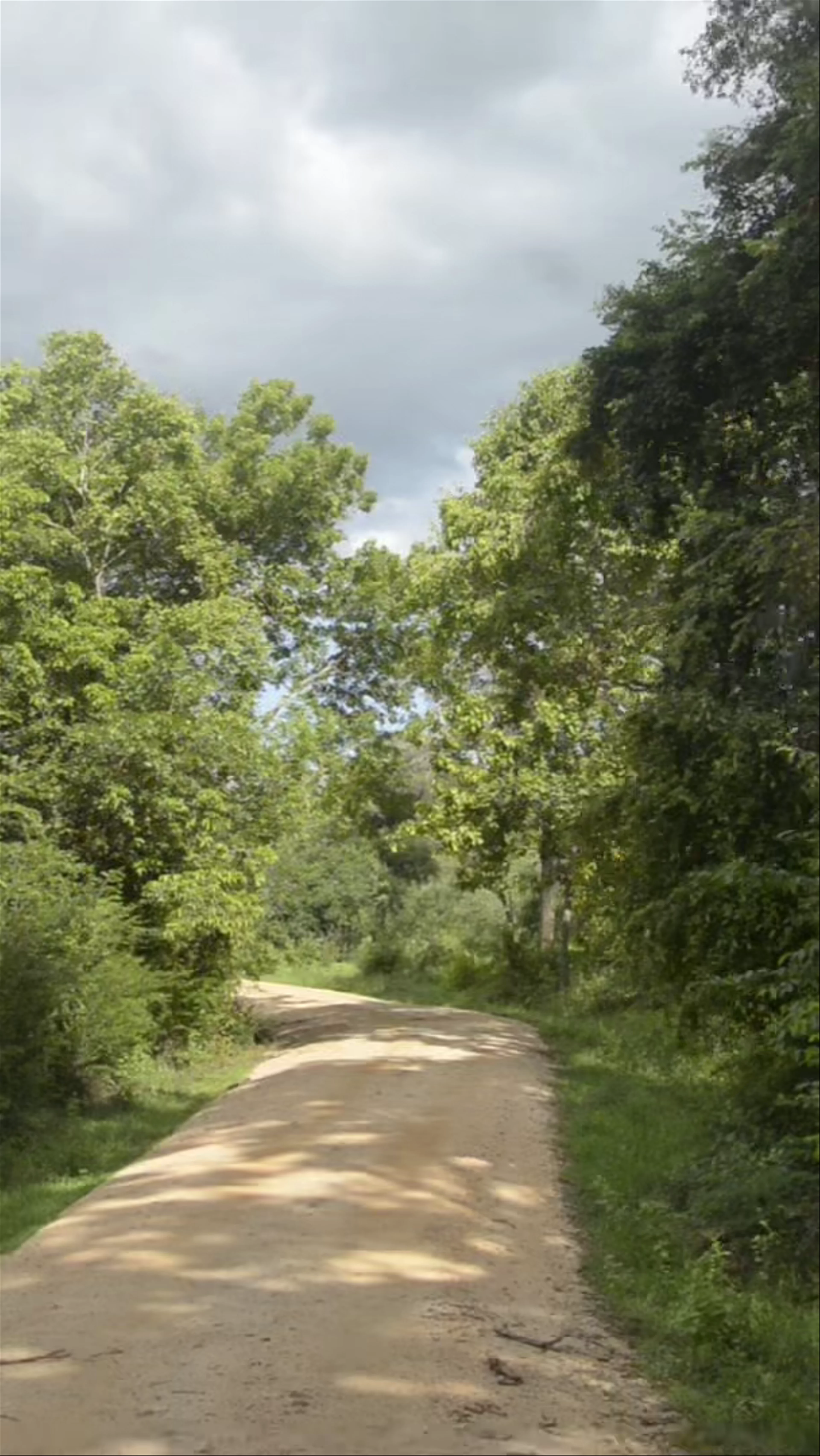 Minneriya National Park