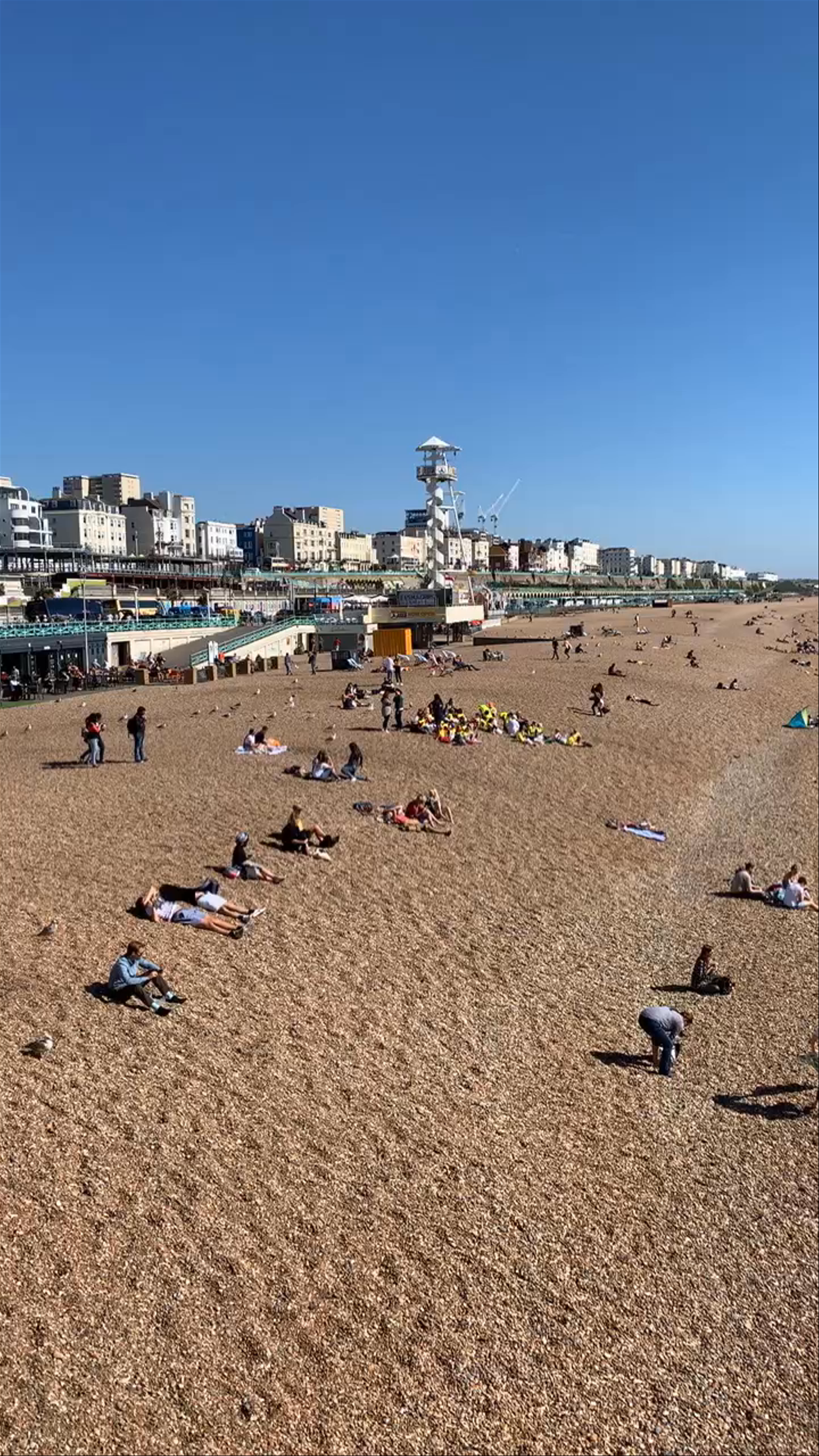 Sunny Day at Brighton Palace Pier and Beach