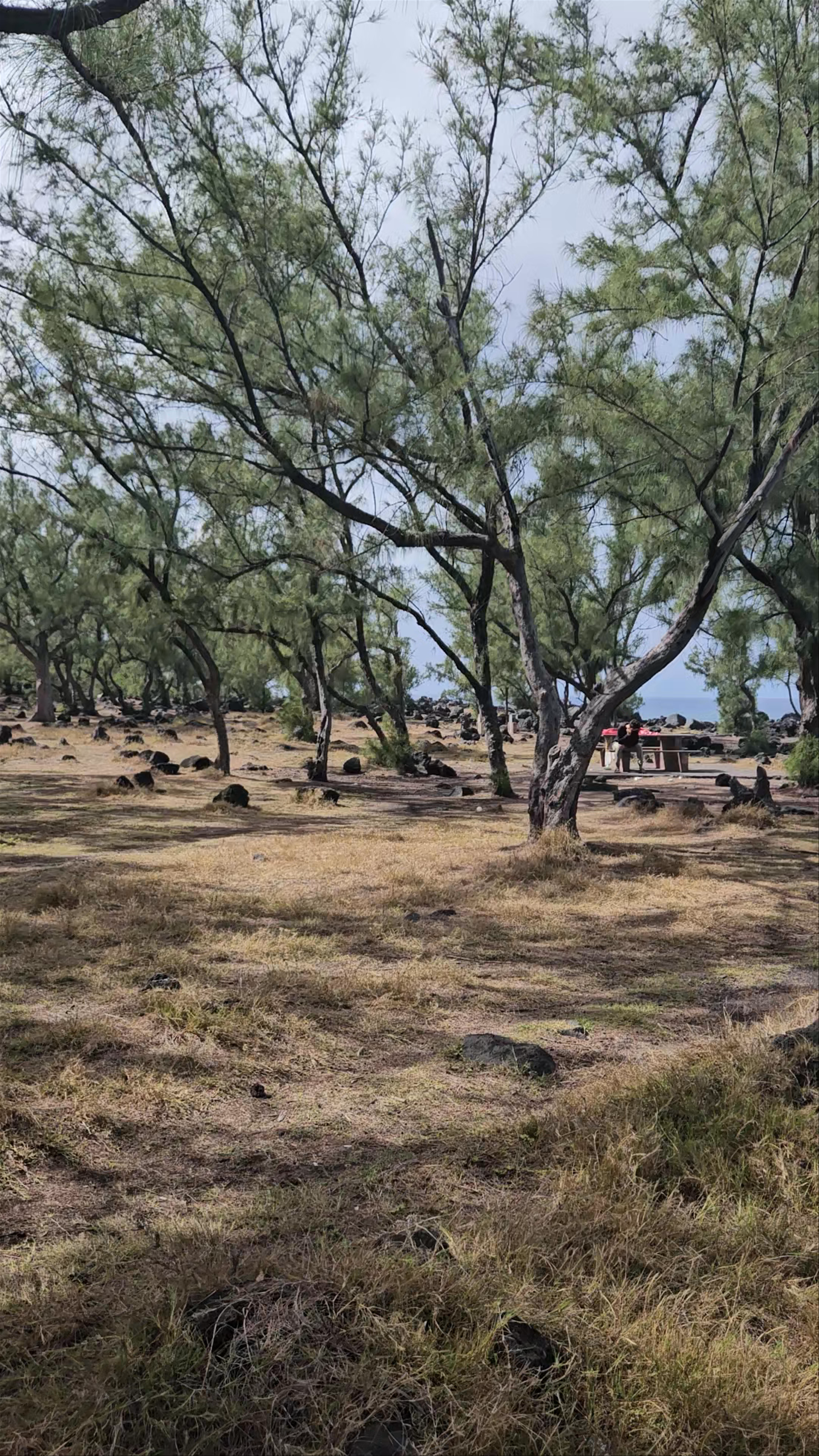 Le Gouffre de l'Étang-Salé