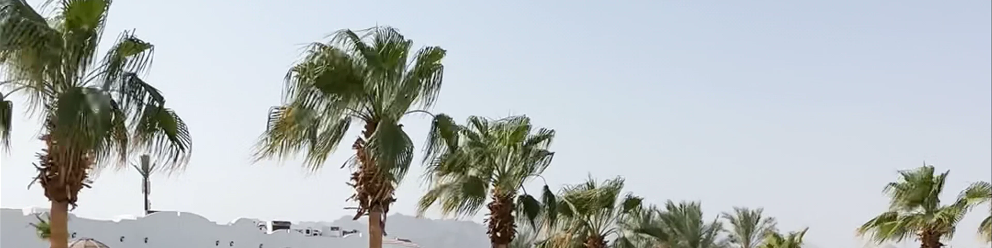 Dreams Beach Resort Sharm El Sheikh